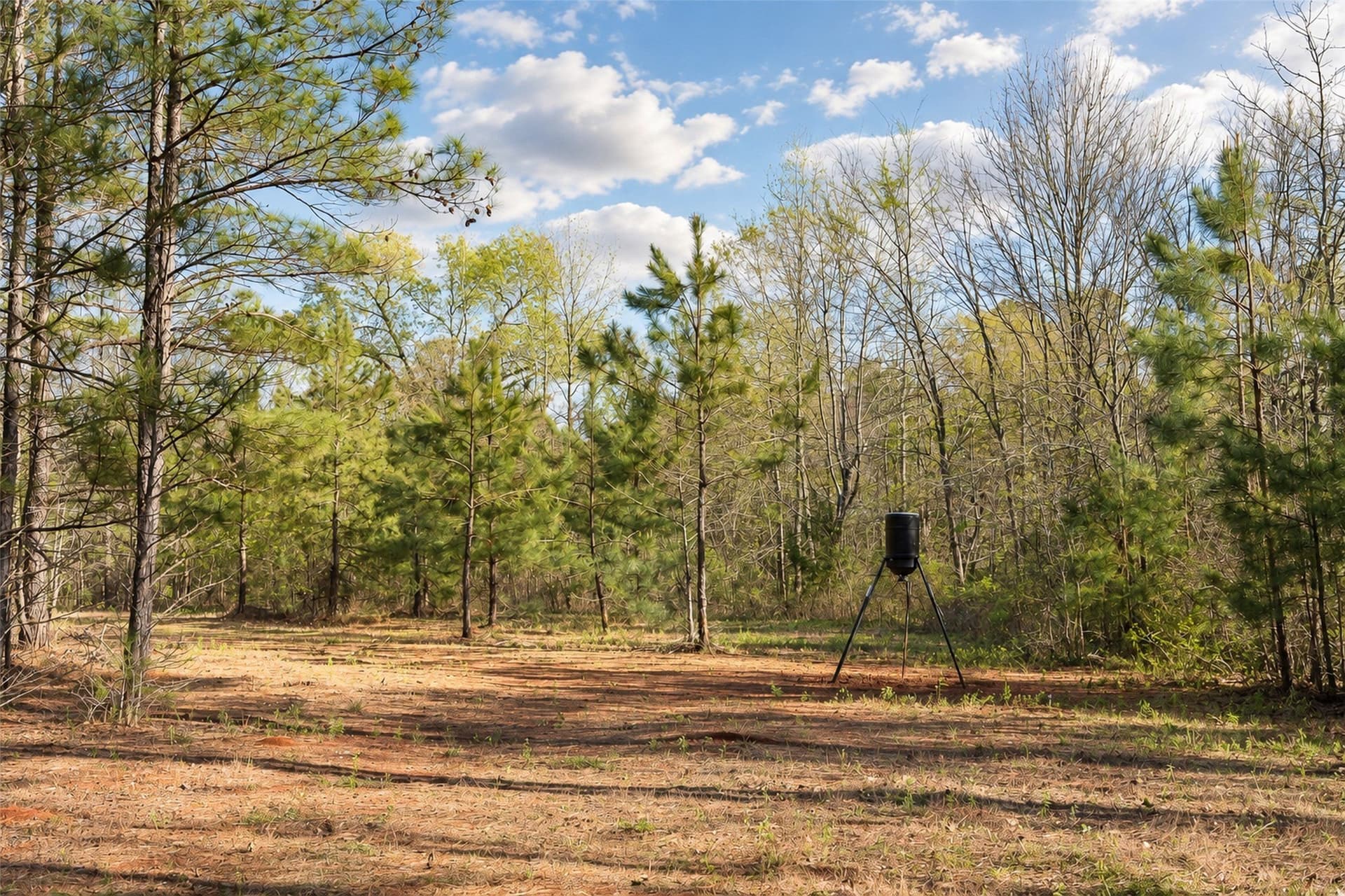 300.71 acres in Cherokee County - photo 26