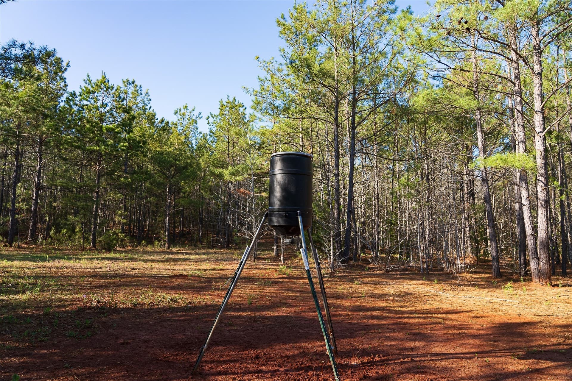 300.71 acres in Cherokee County - photo 14