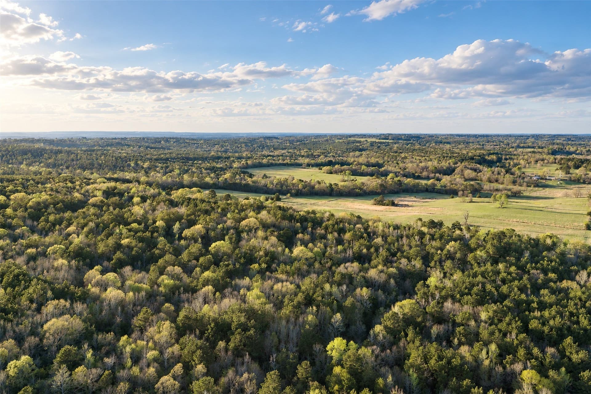 300.71 acres in Cherokee County - photo 10