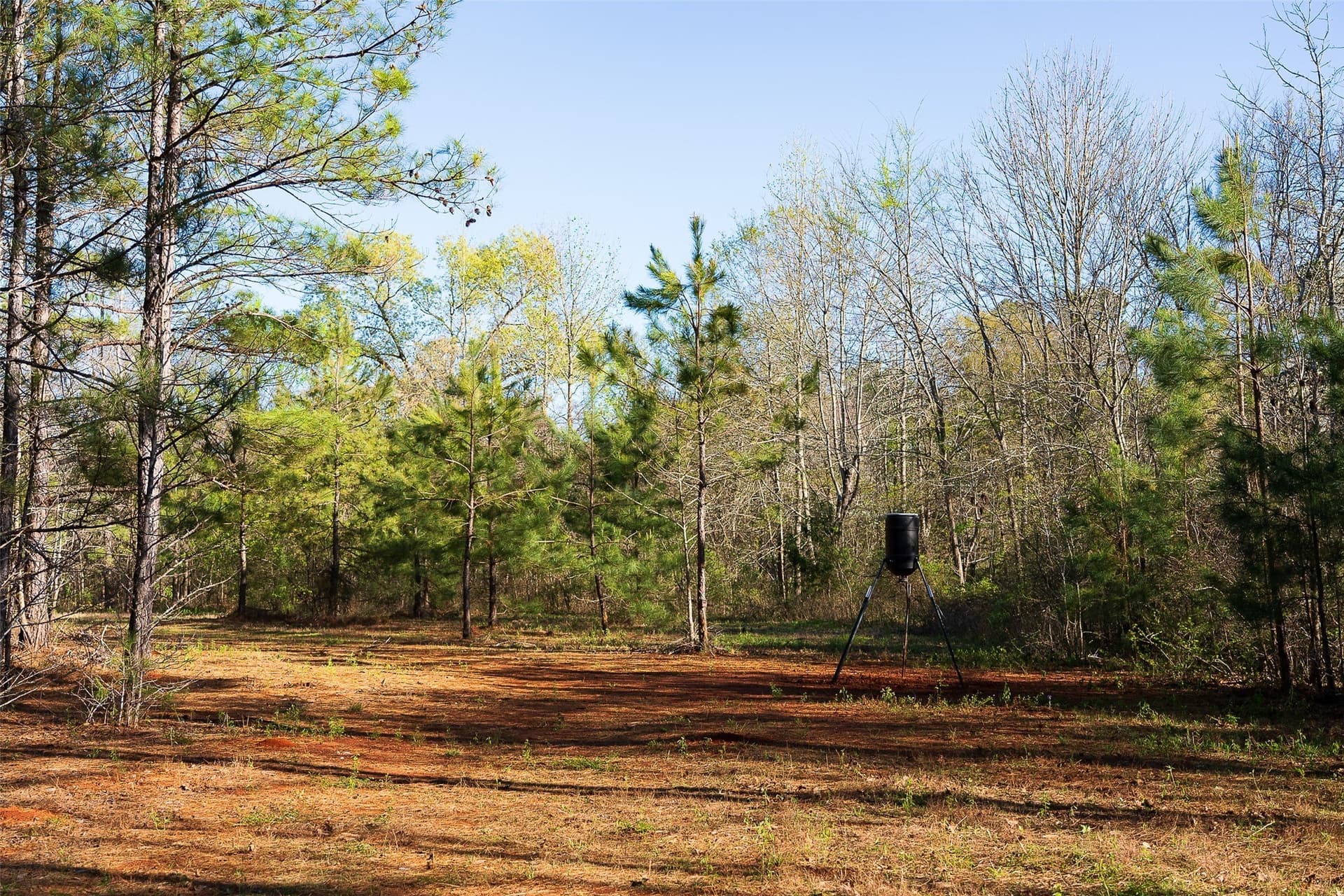 300.71 acres in Cherokee County - photo 16