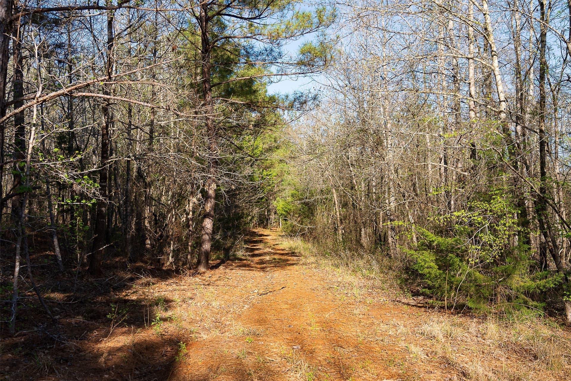 300.71 acres in Cherokee County - photo 13