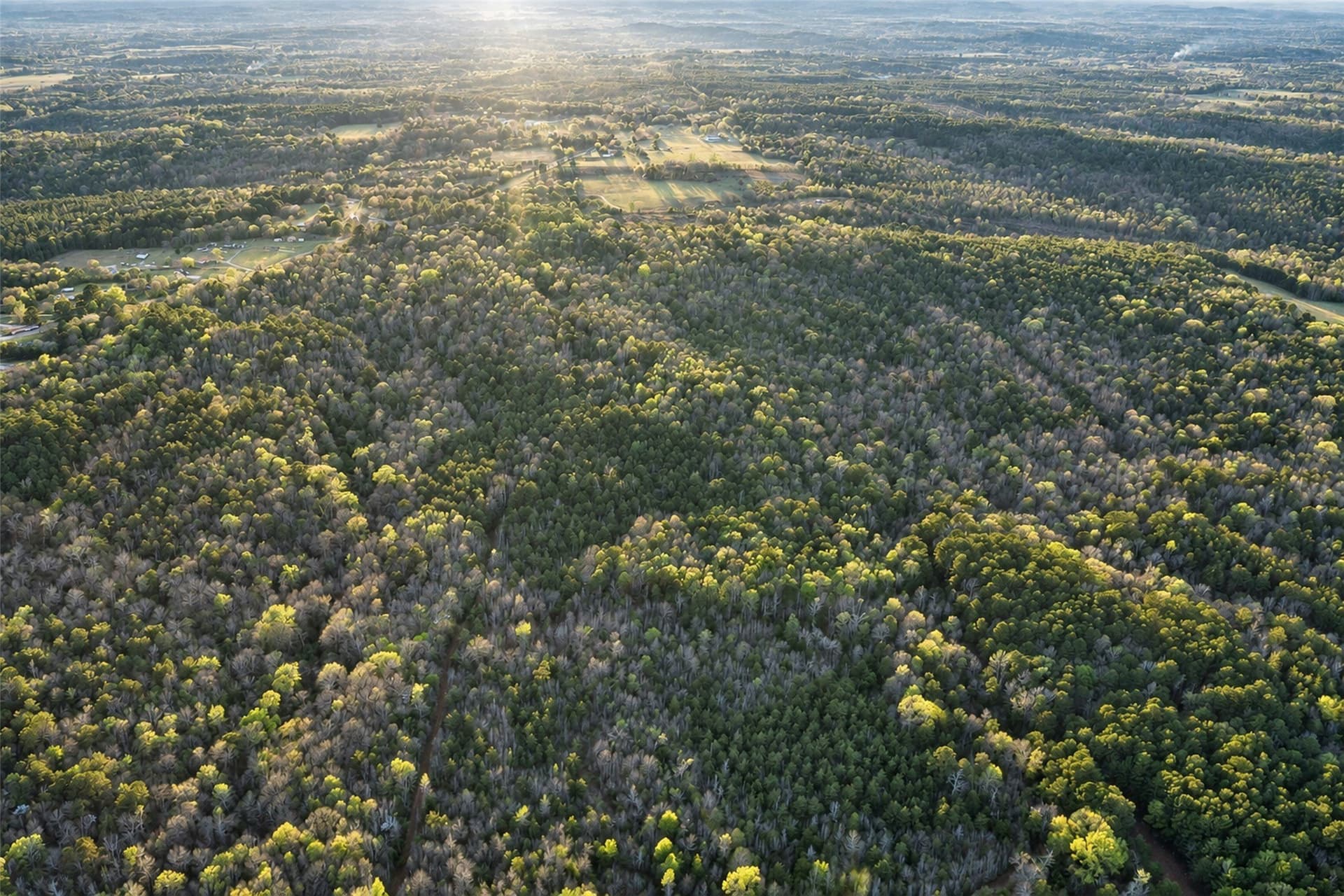 300.71 acres in Cherokee County - photo 5