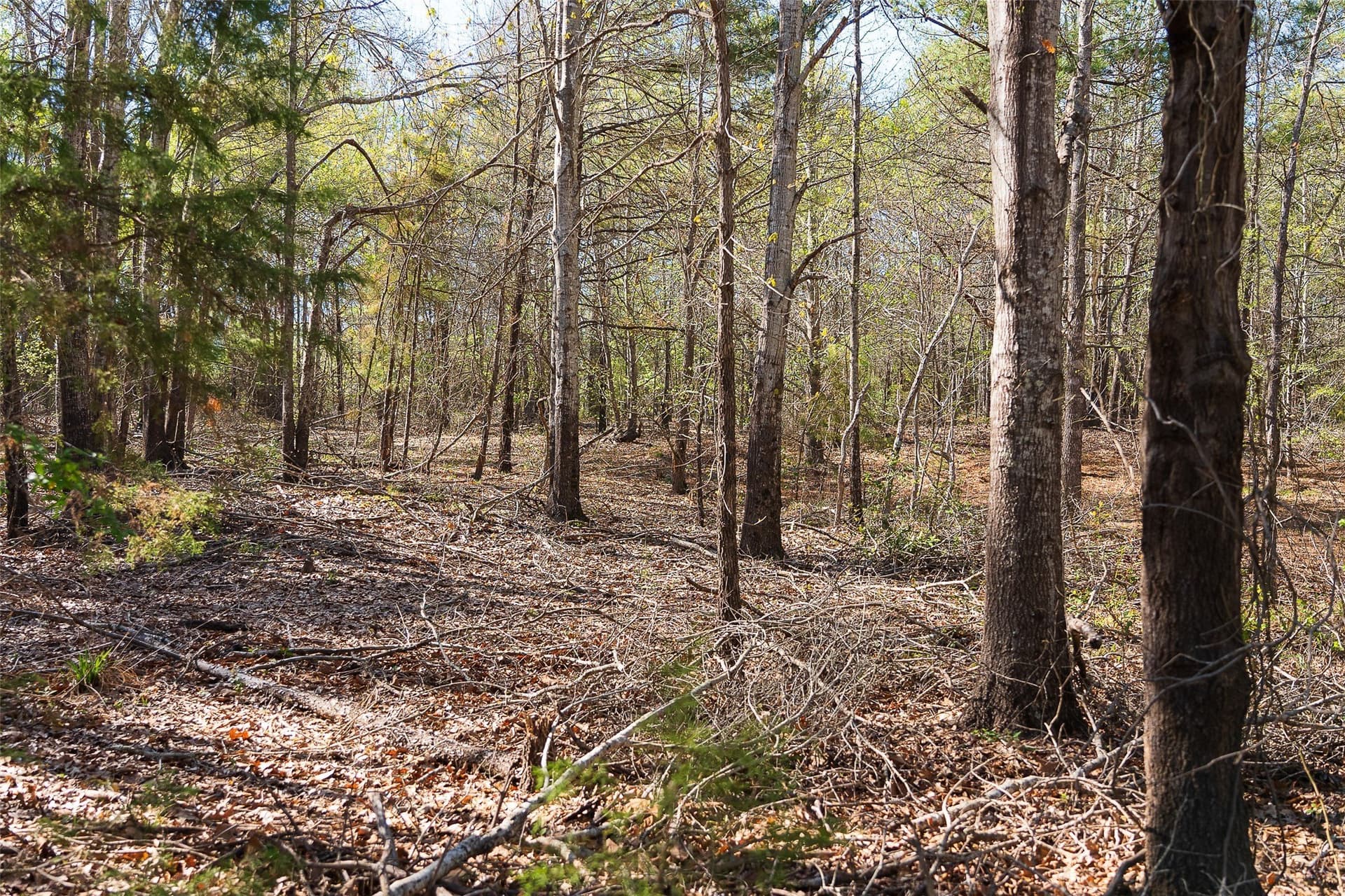 300.71 acres in Cherokee County - photo 23