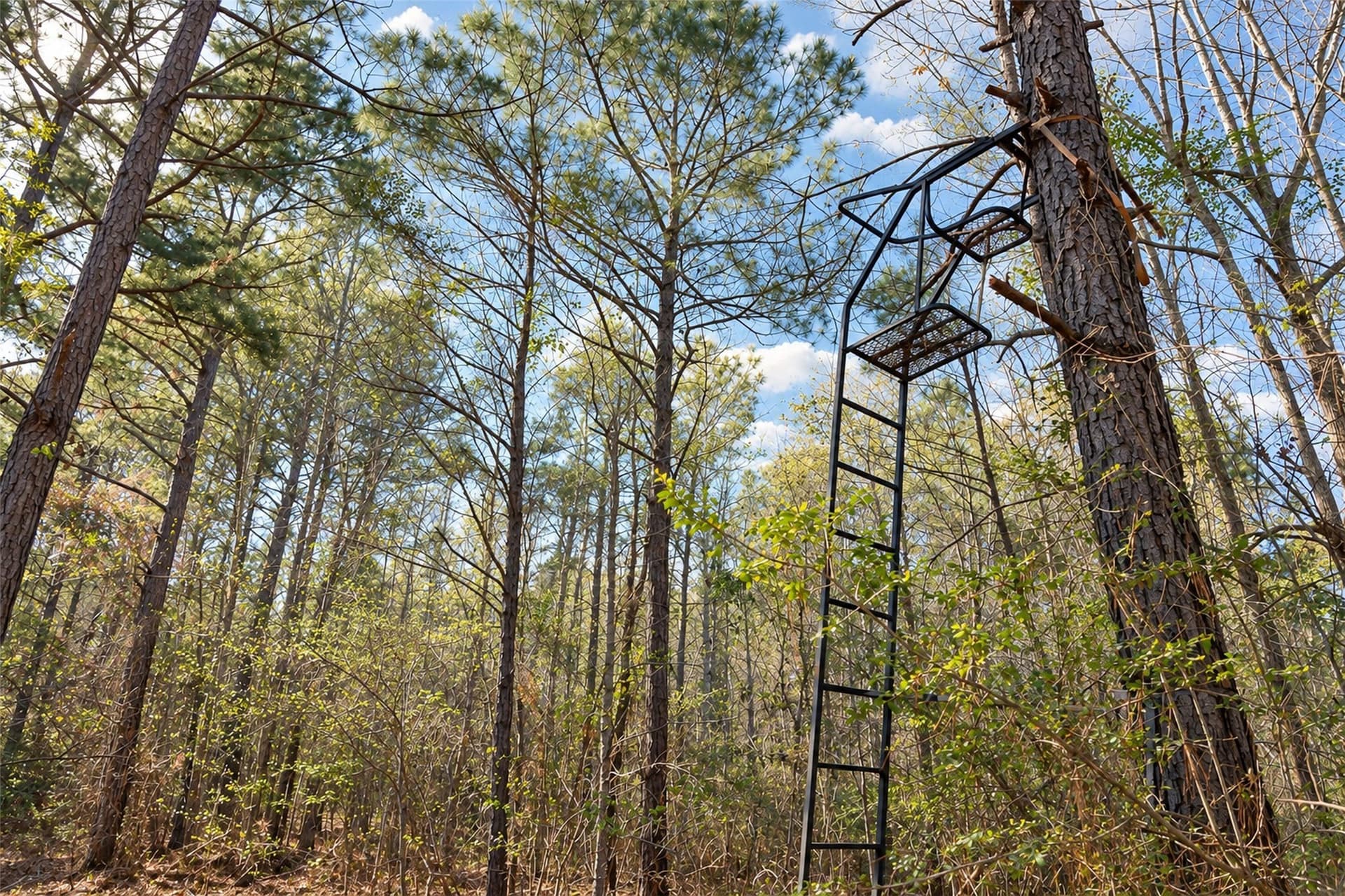 300.71 acres in Cherokee County - photo 13