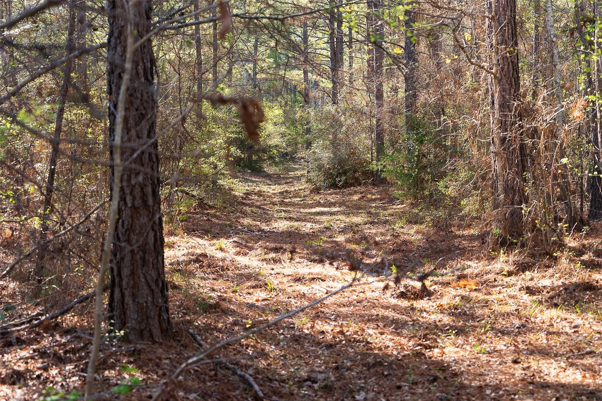 300.71 acres in Cherokee County - photo 28