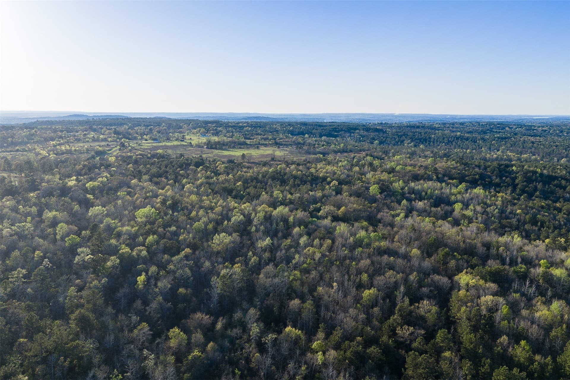 300.71 acres in Cherokee County - photo 11