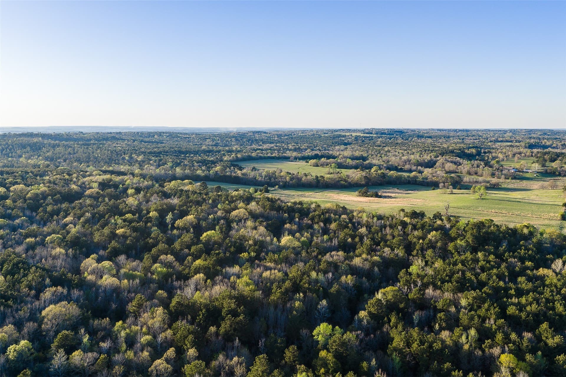 300.71 acres in Cherokee County - photo 6