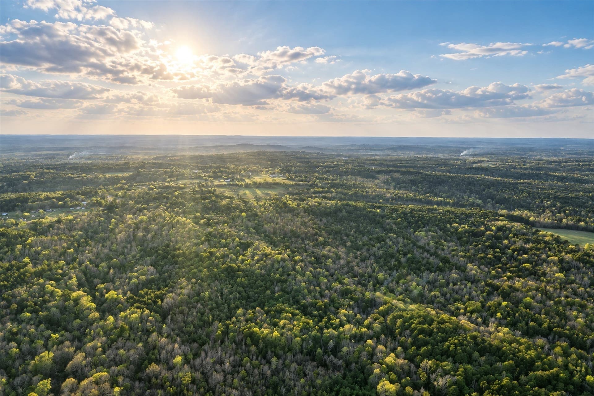 300.71 acres in Cherokee County - photo 9