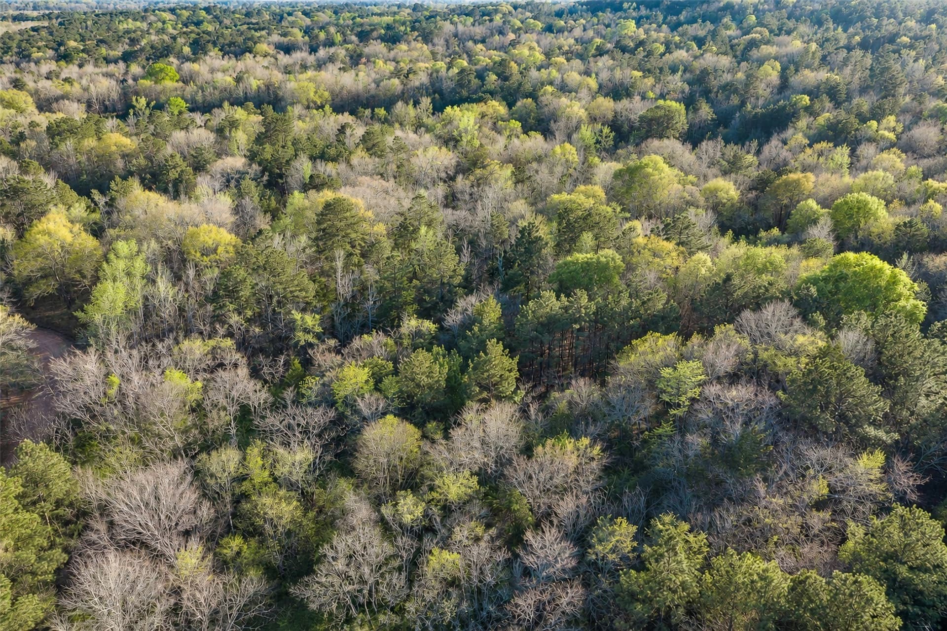 300.71 acres in Cherokee County - photo 30