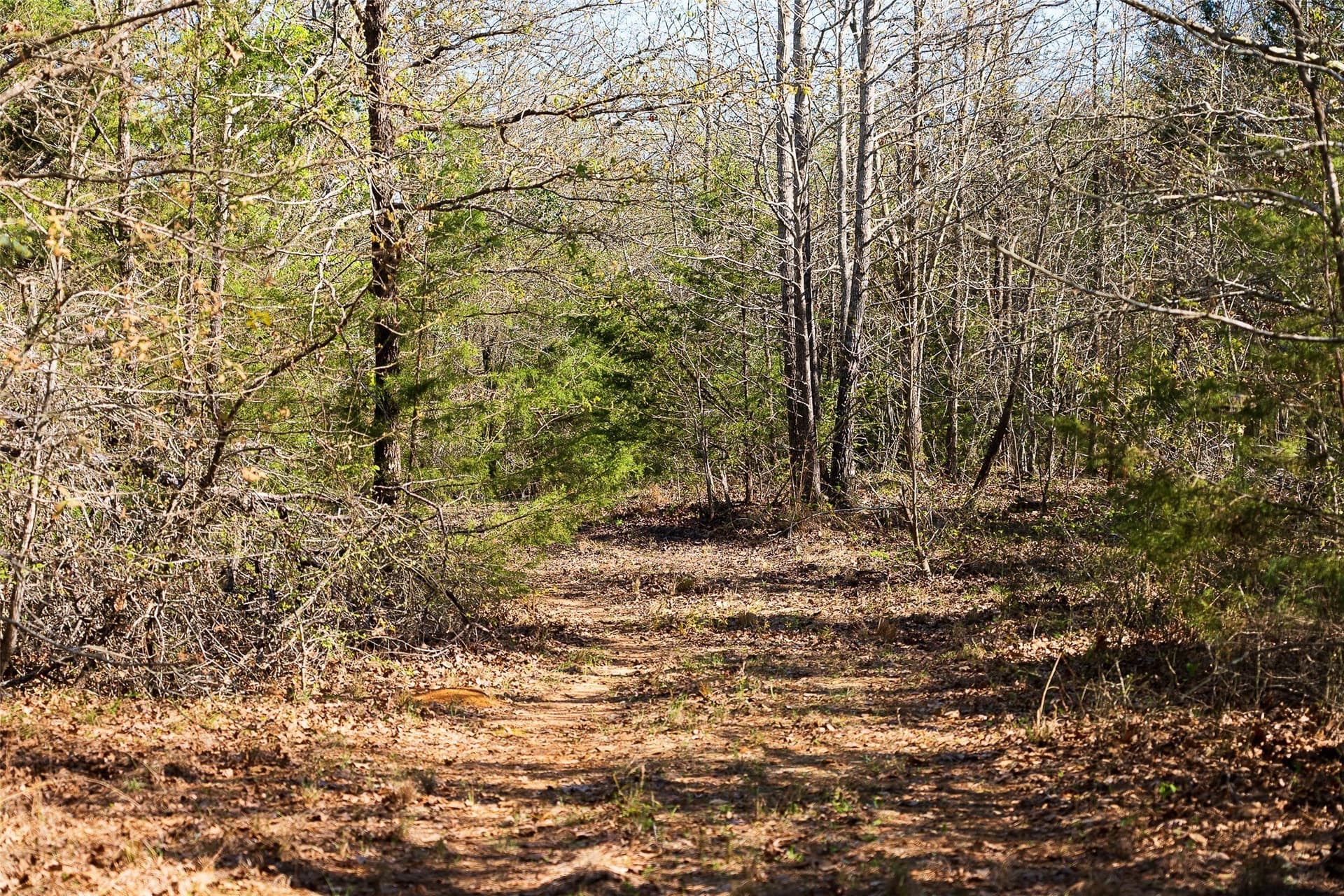 300.71 acres in Cherokee County - photo 25