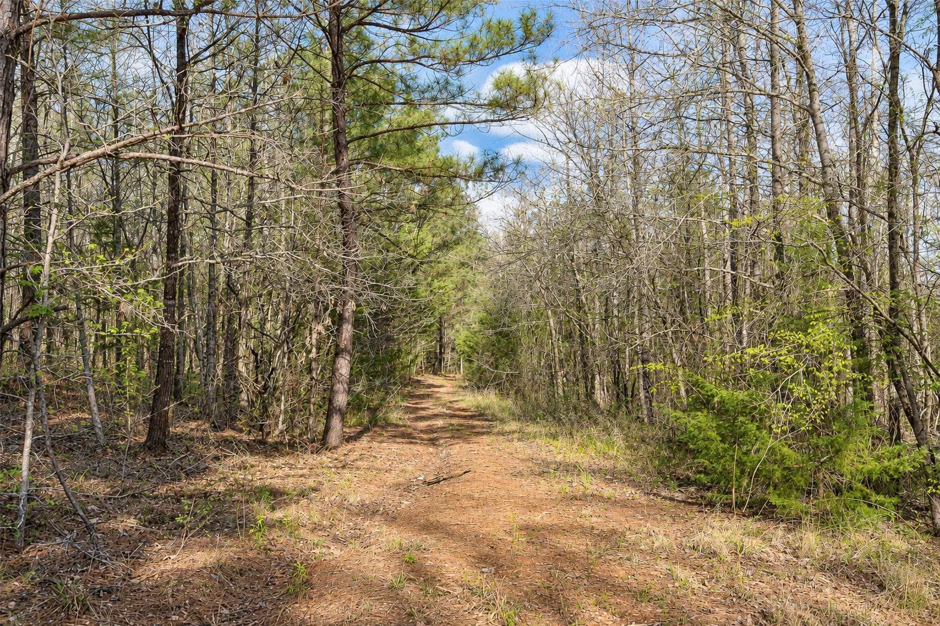 300.71 acres in Cherokee County - photo 24