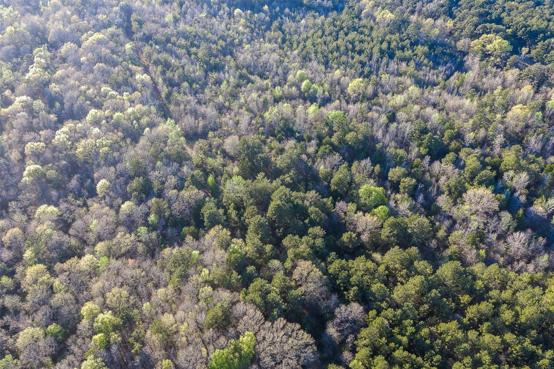 300.71 acres in Cherokee County - photo 20