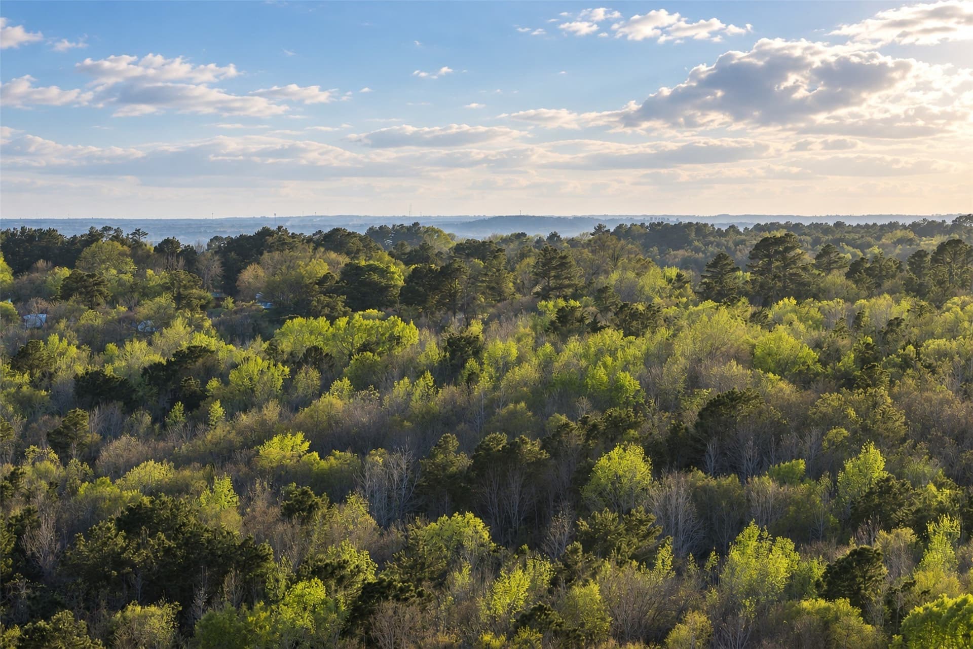 300.71 acres in Cherokee County - photo 2