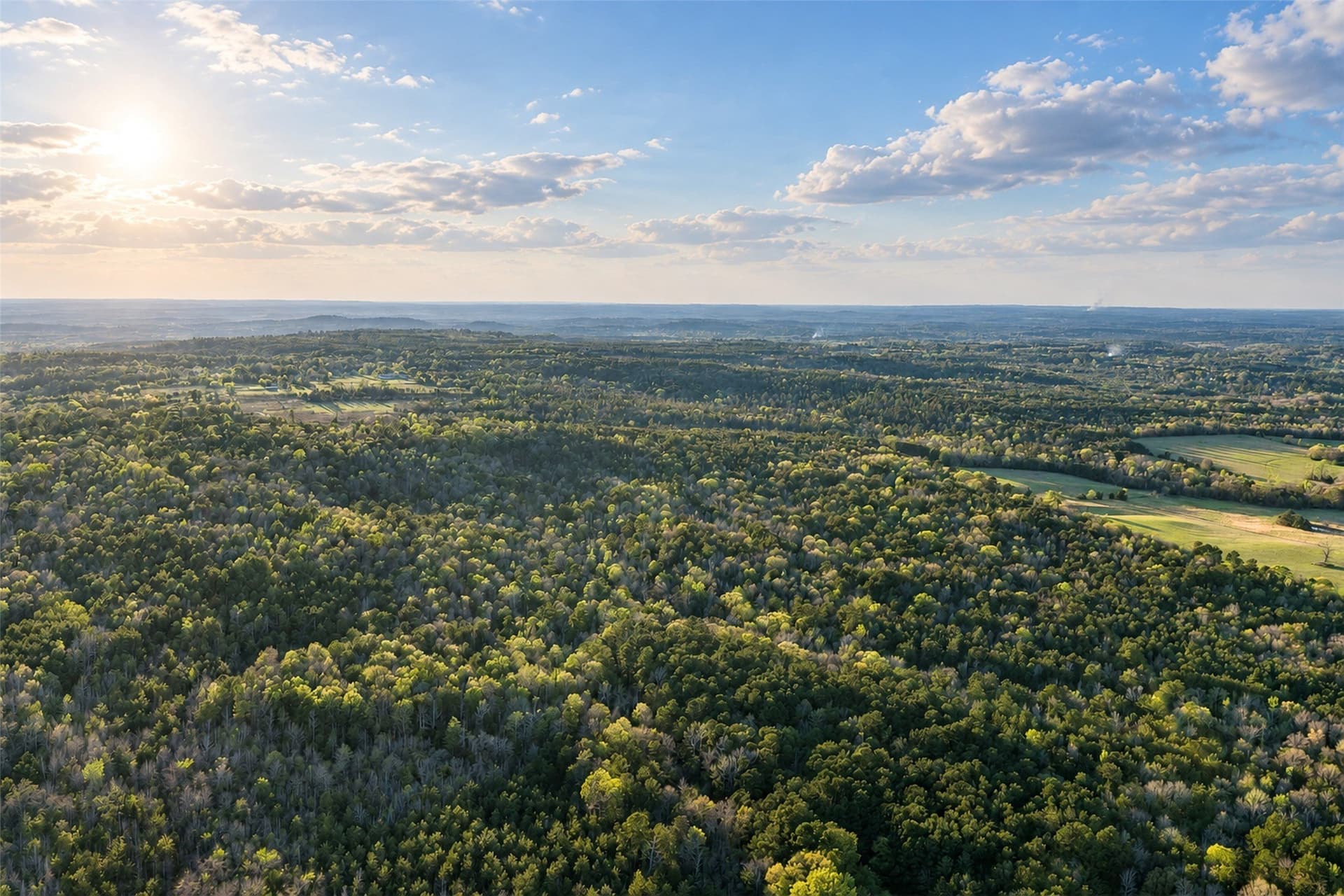 300.71 acres in Cherokee County - photo 11
