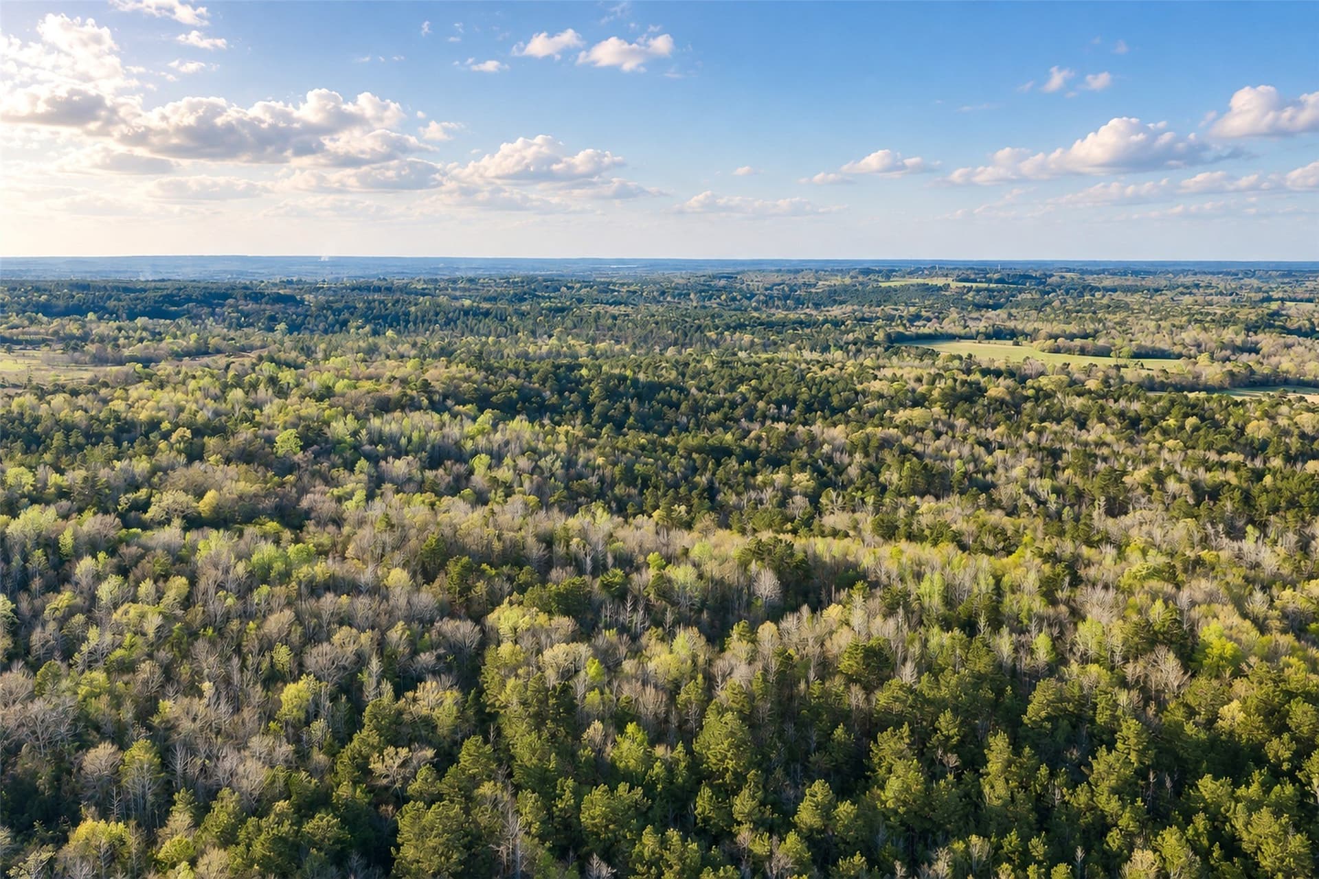 300.71 acres in Cherokee County - photo 18