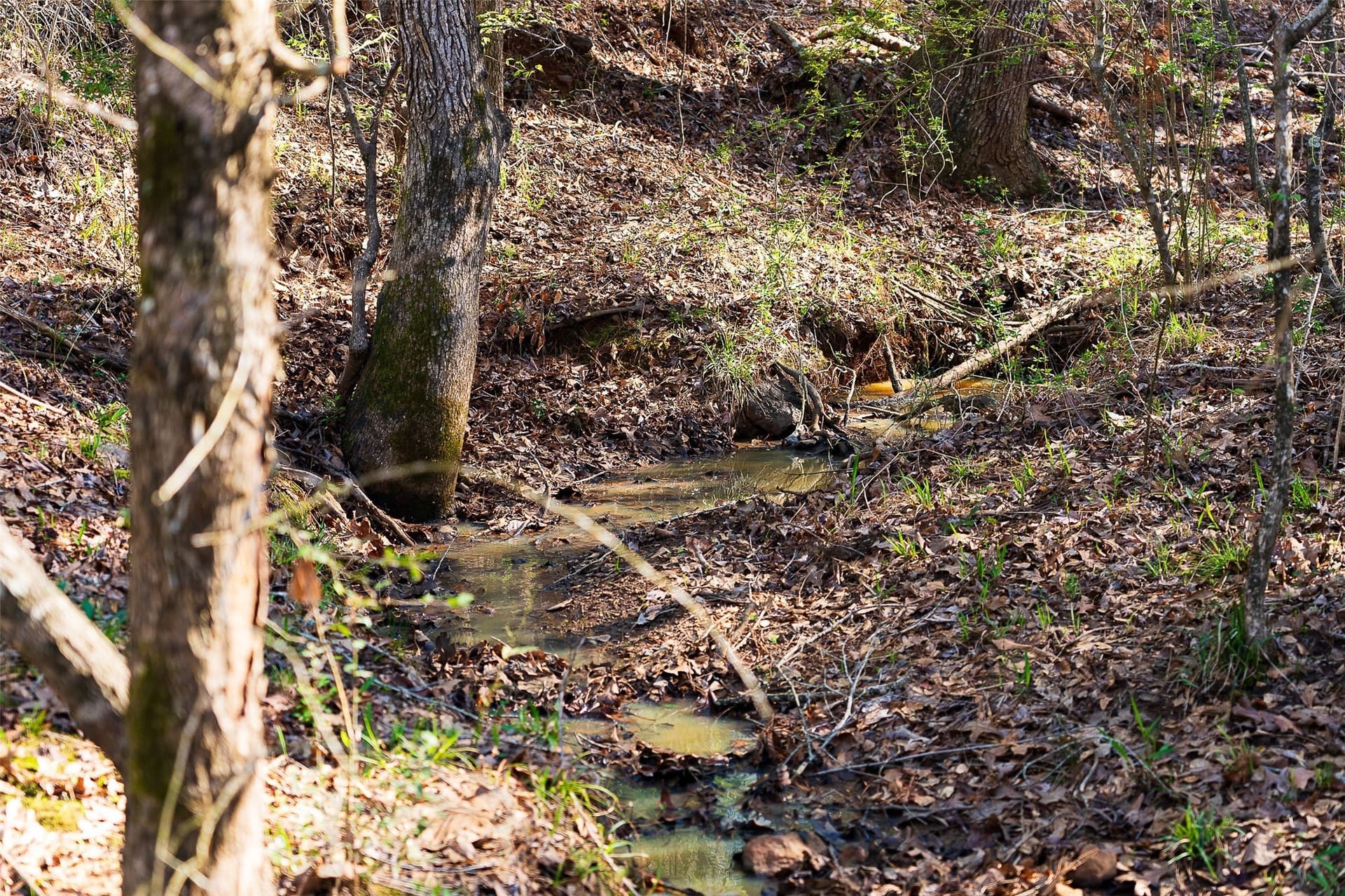 300.71 acres in Cherokee County - photo 26