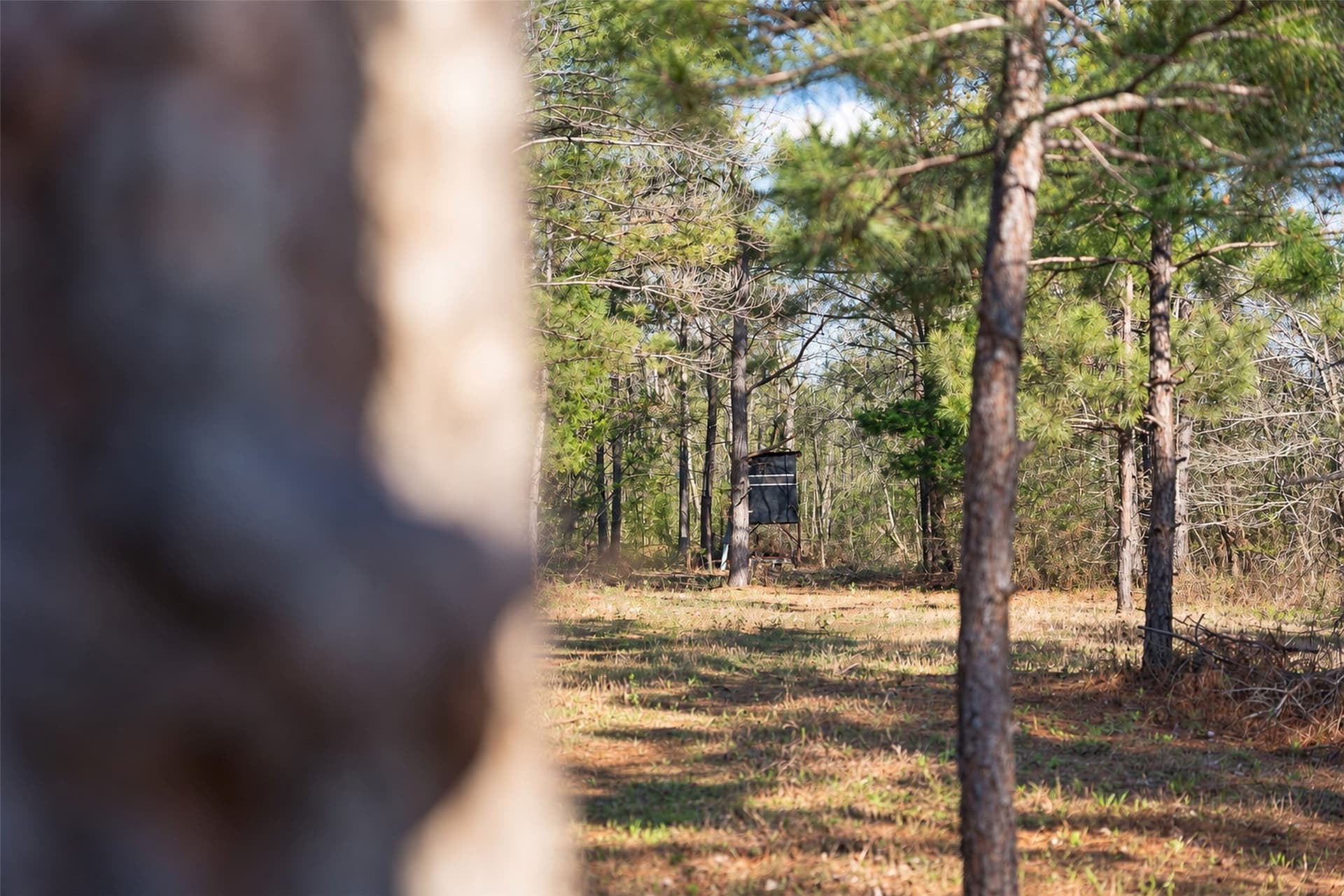 300.71 acres in Cherokee County - photo 14