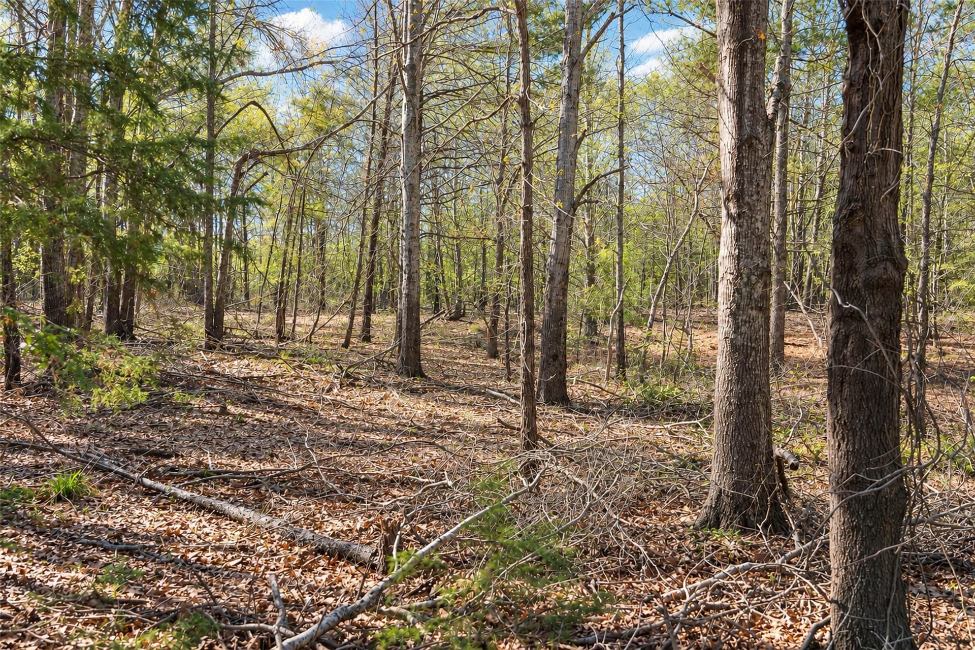 300.71 acres in Cherokee County - photo 33