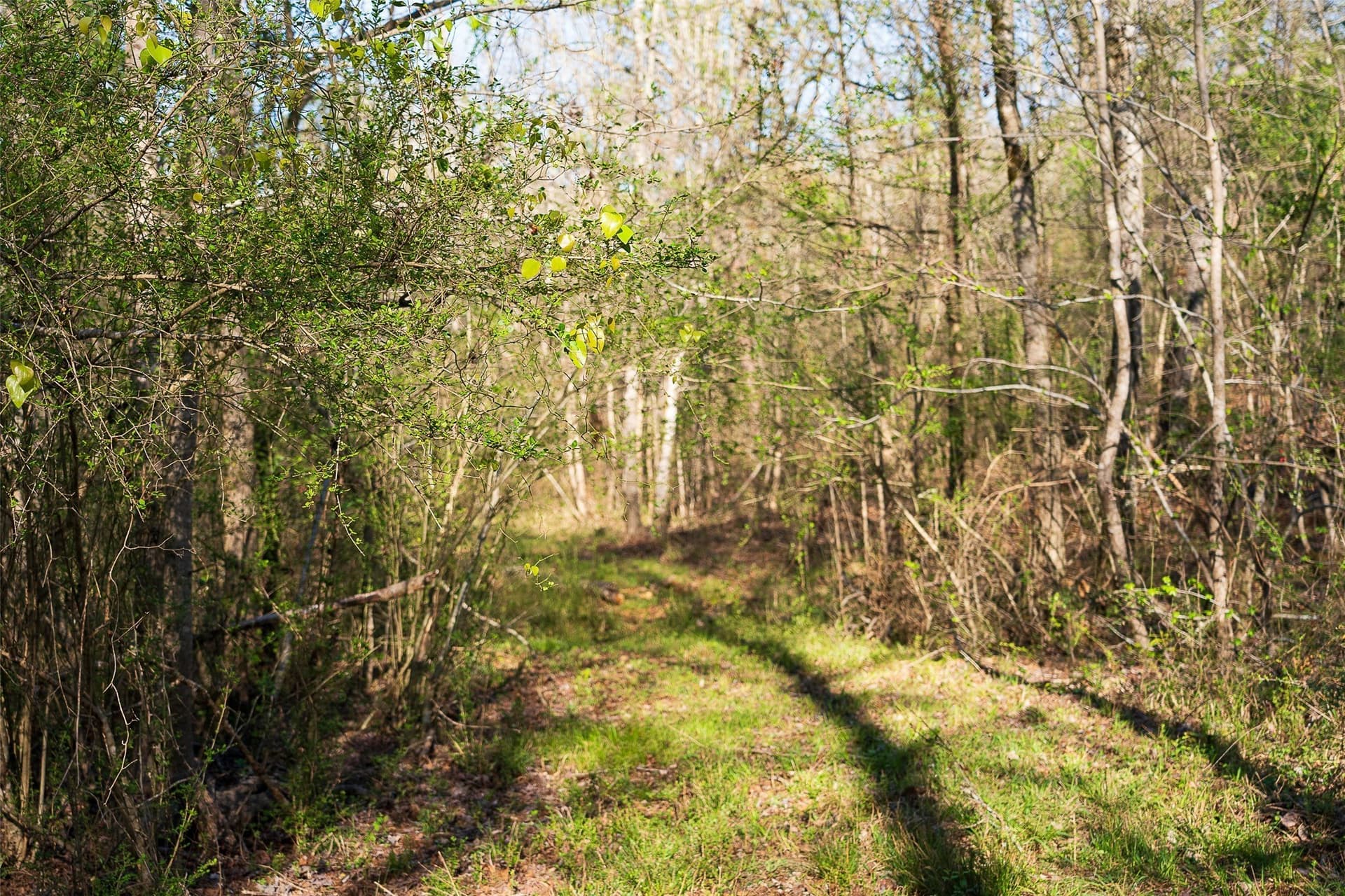 300.71 acres in Cherokee County - photo 9