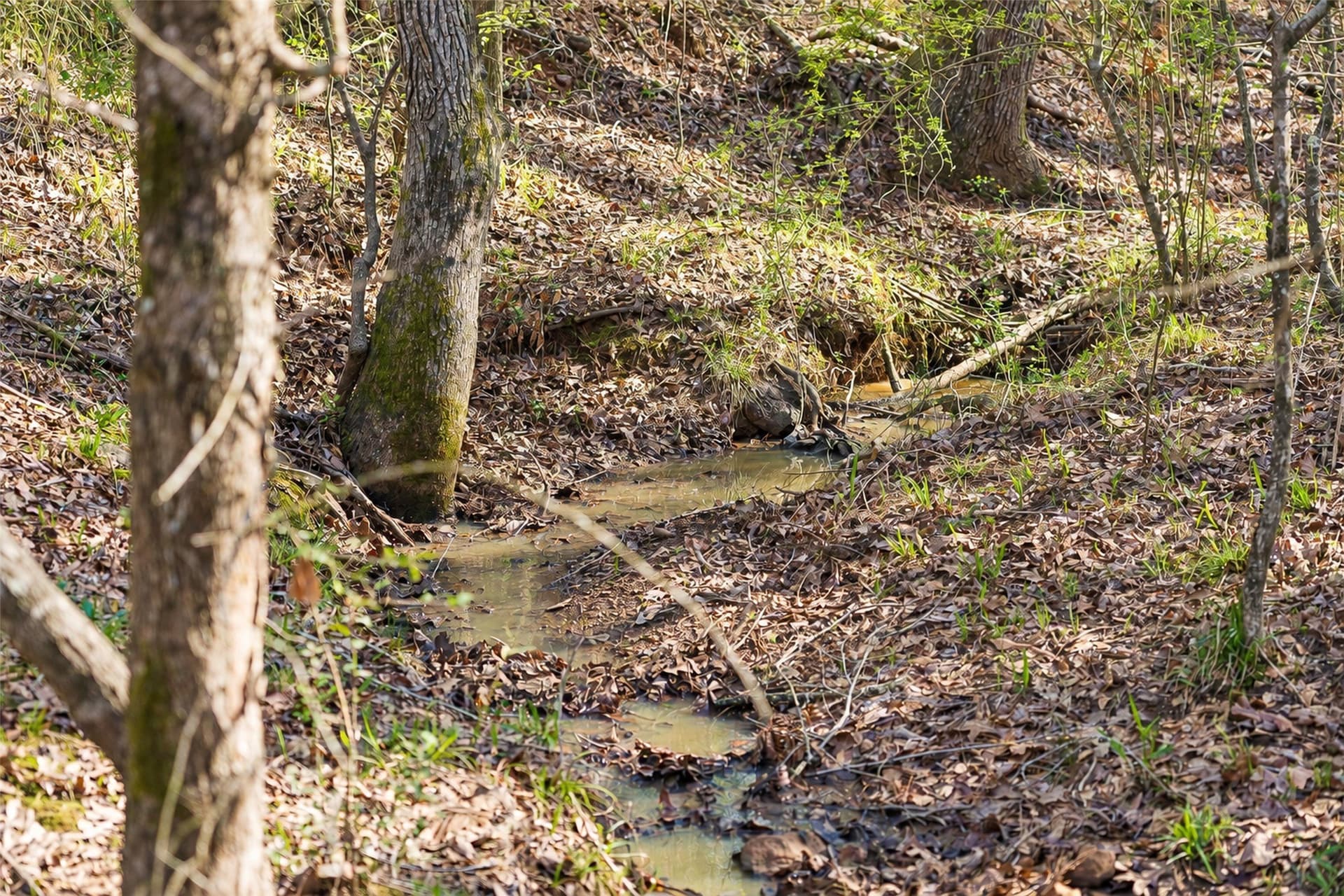 300.71 acres in Cherokee County - photo 35