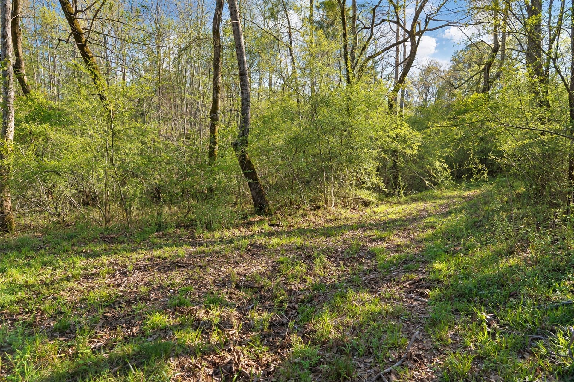 300.71 acres in Cherokee County - photo 15