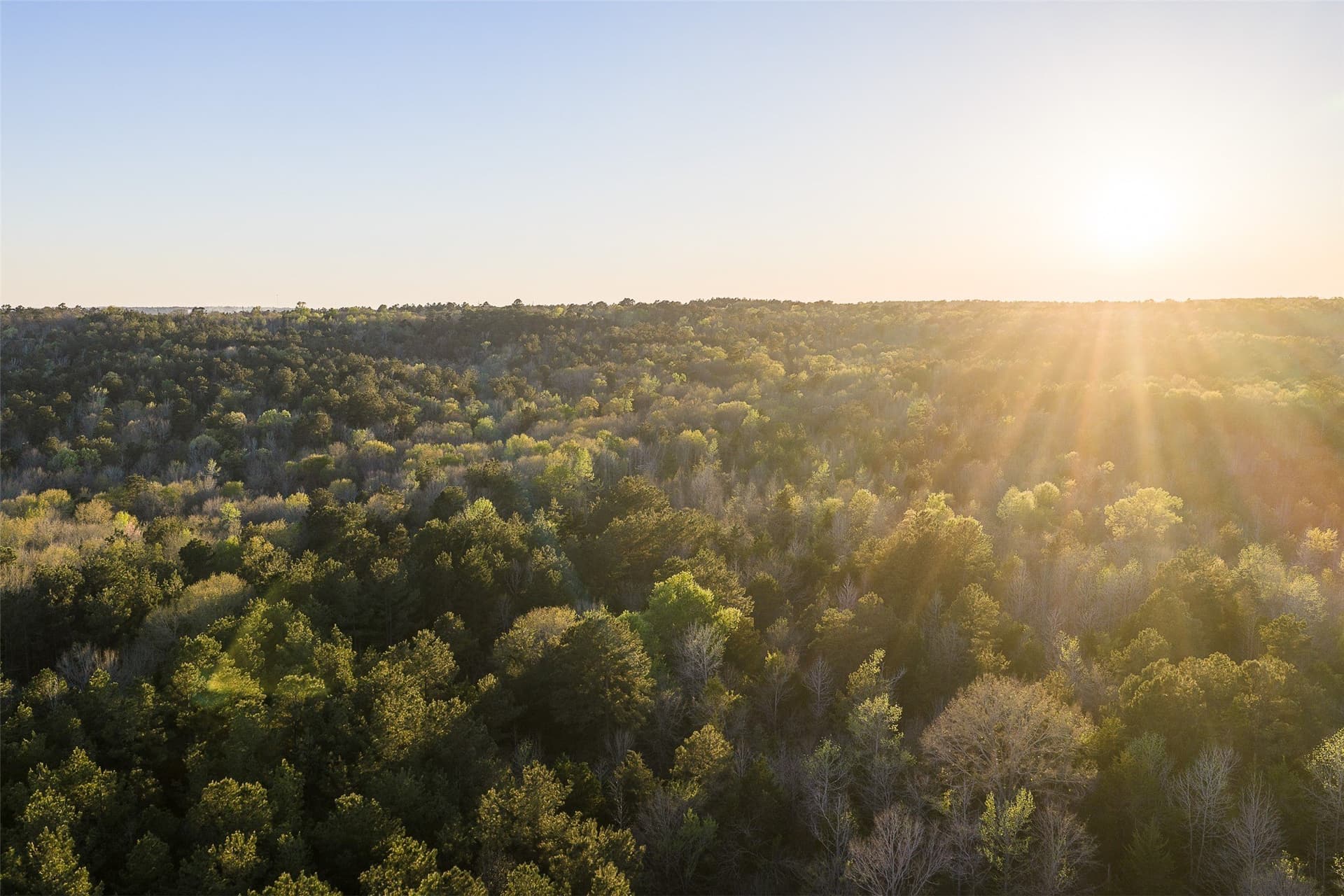 300.71 acres in Cherokee County - photo 32