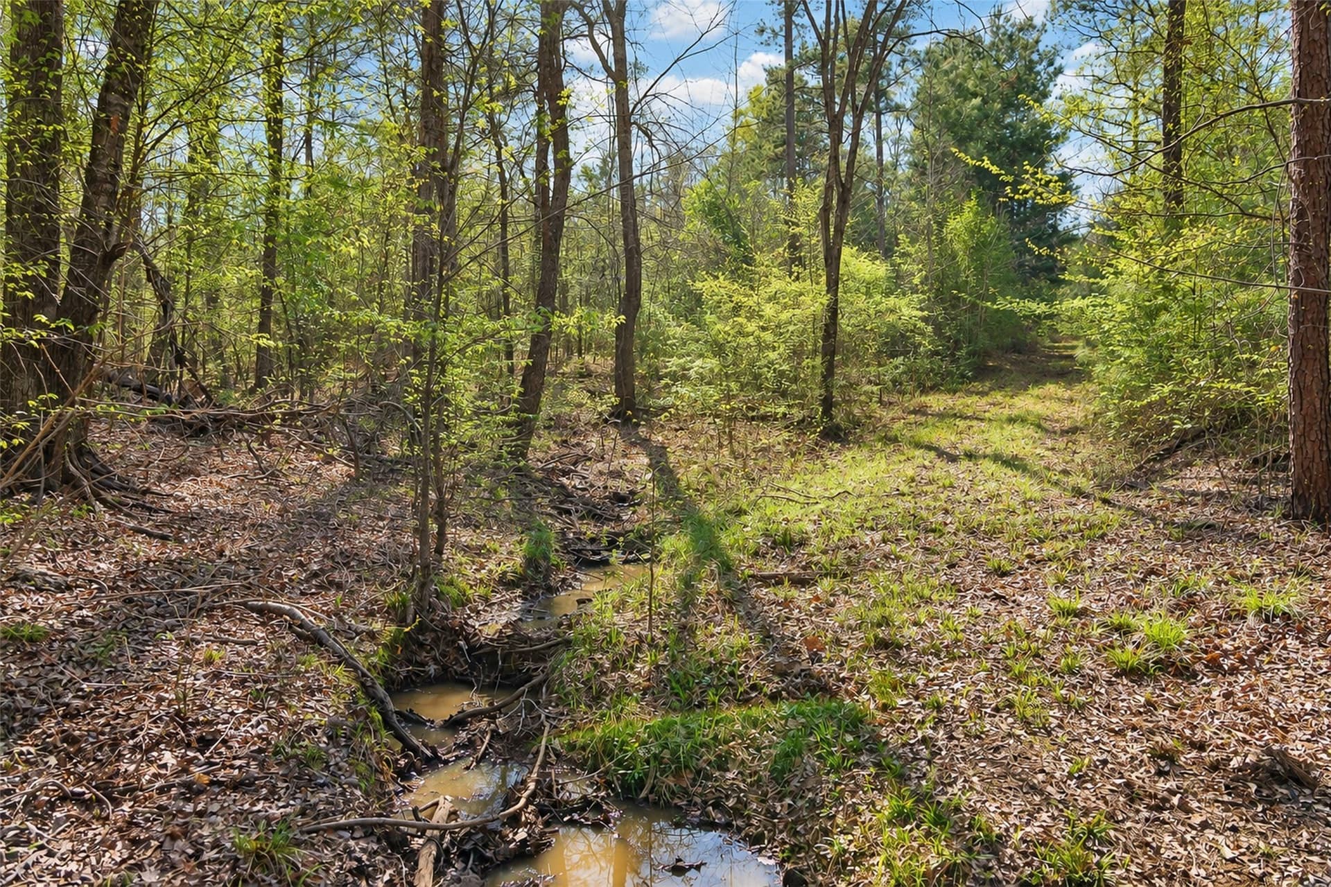 300.71 acres in Cherokee County - photo 36