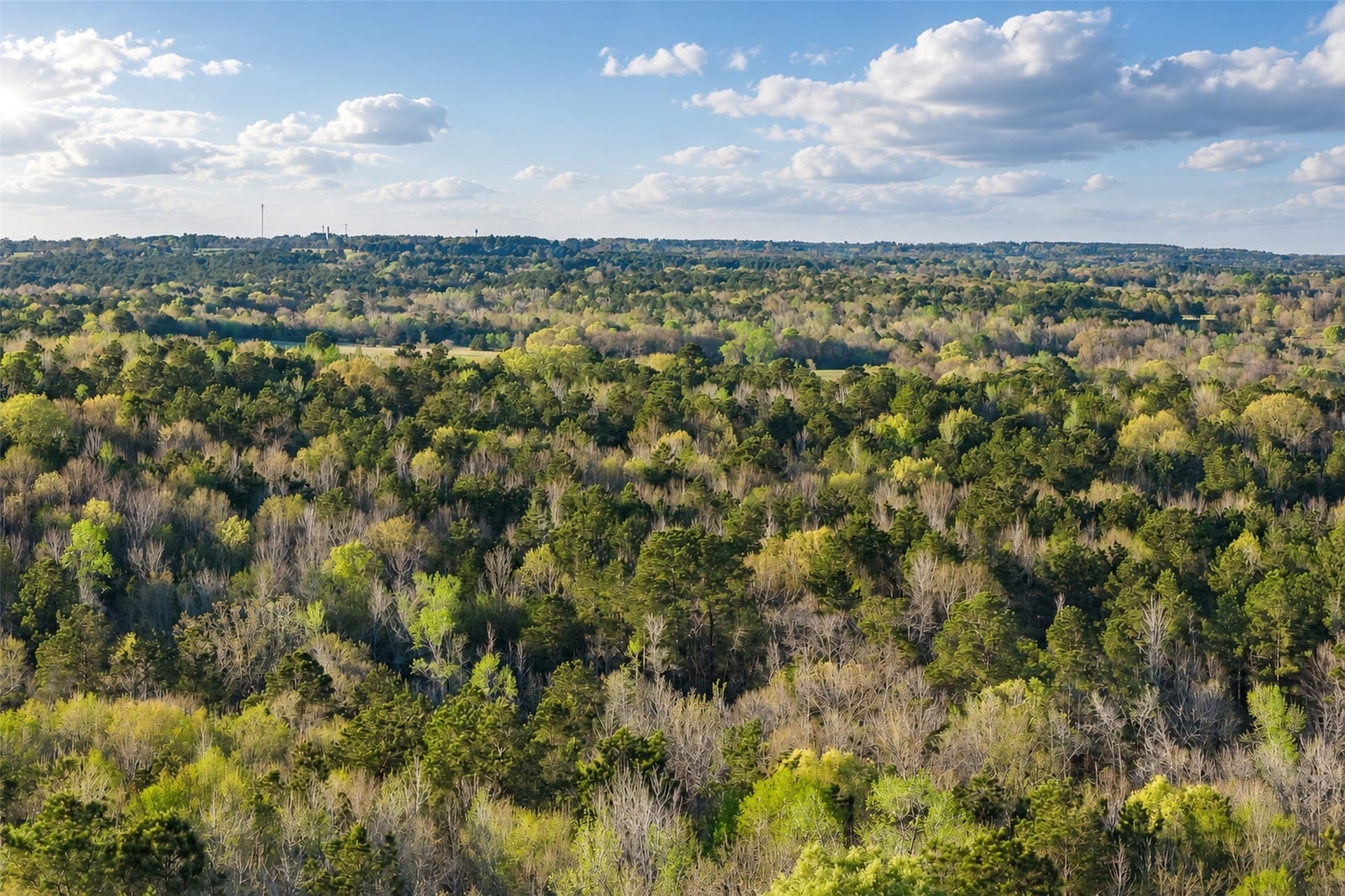 300.71 acres in Cherokee County - photo 20