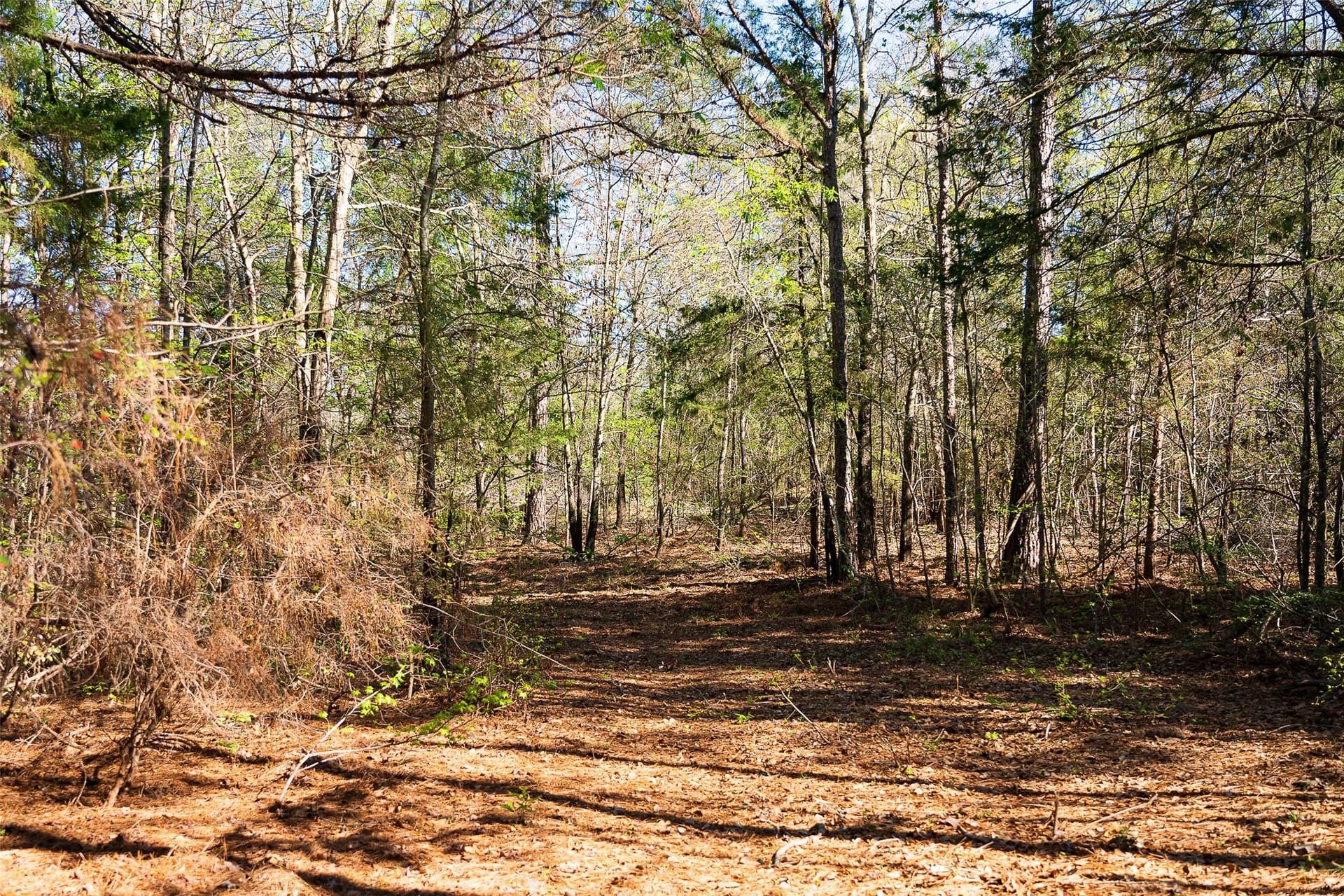 300.71 acres in Cherokee County - photo 24