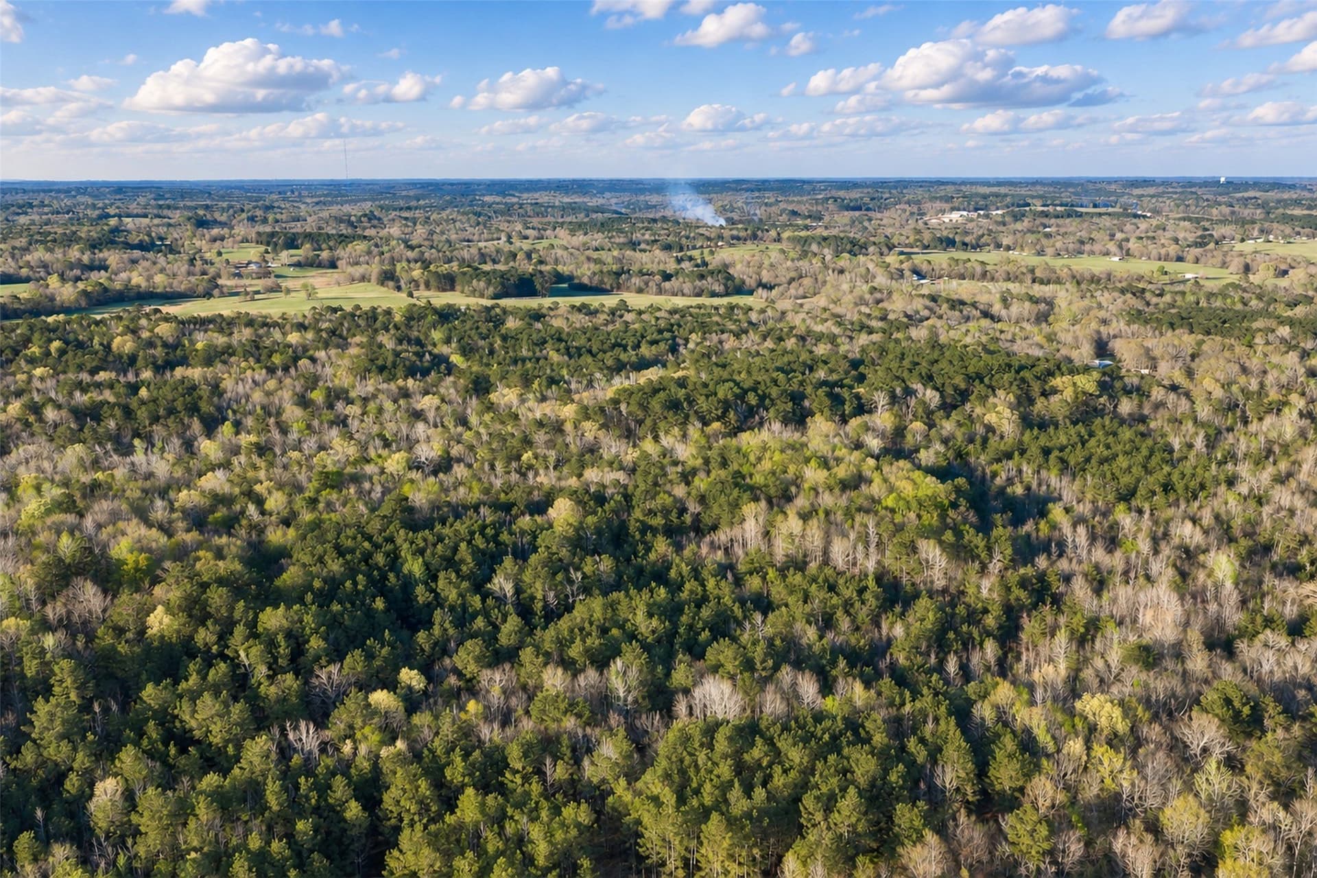 300.71 acres in Cherokee County - photo 19