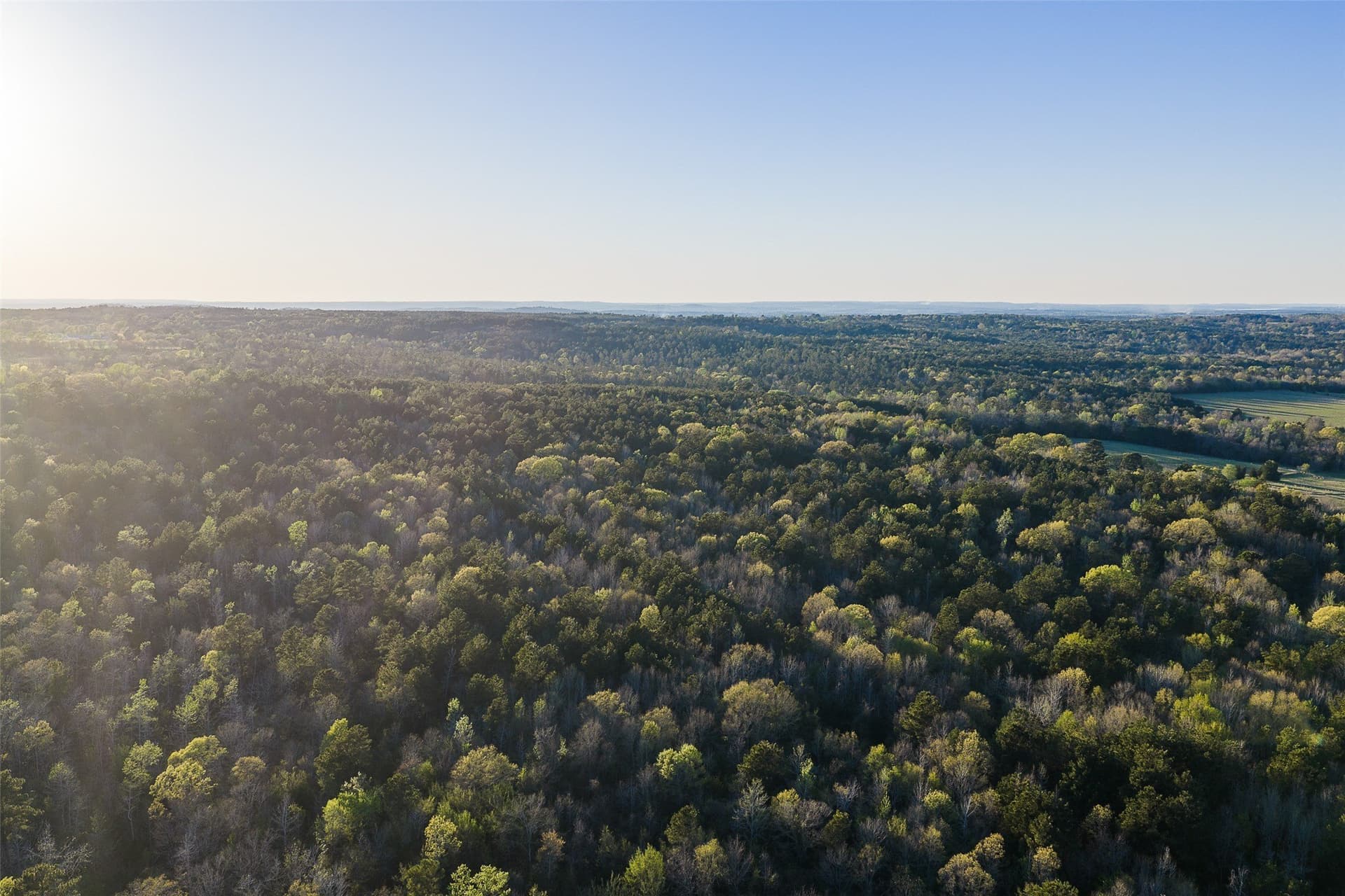 300.71 acres in Cherokee County - photo 31
