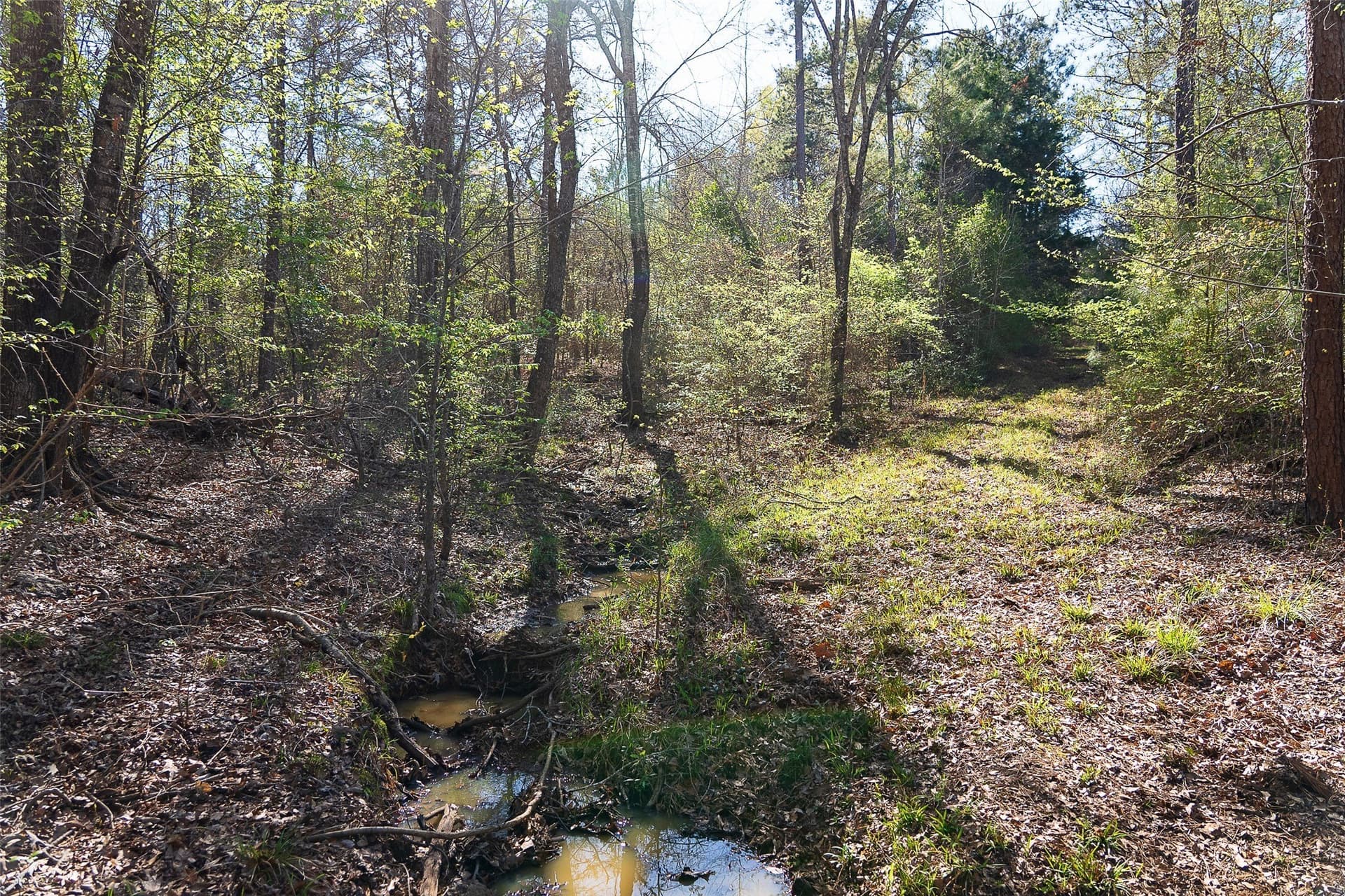 300.71 acres in Cherokee County - photo 27