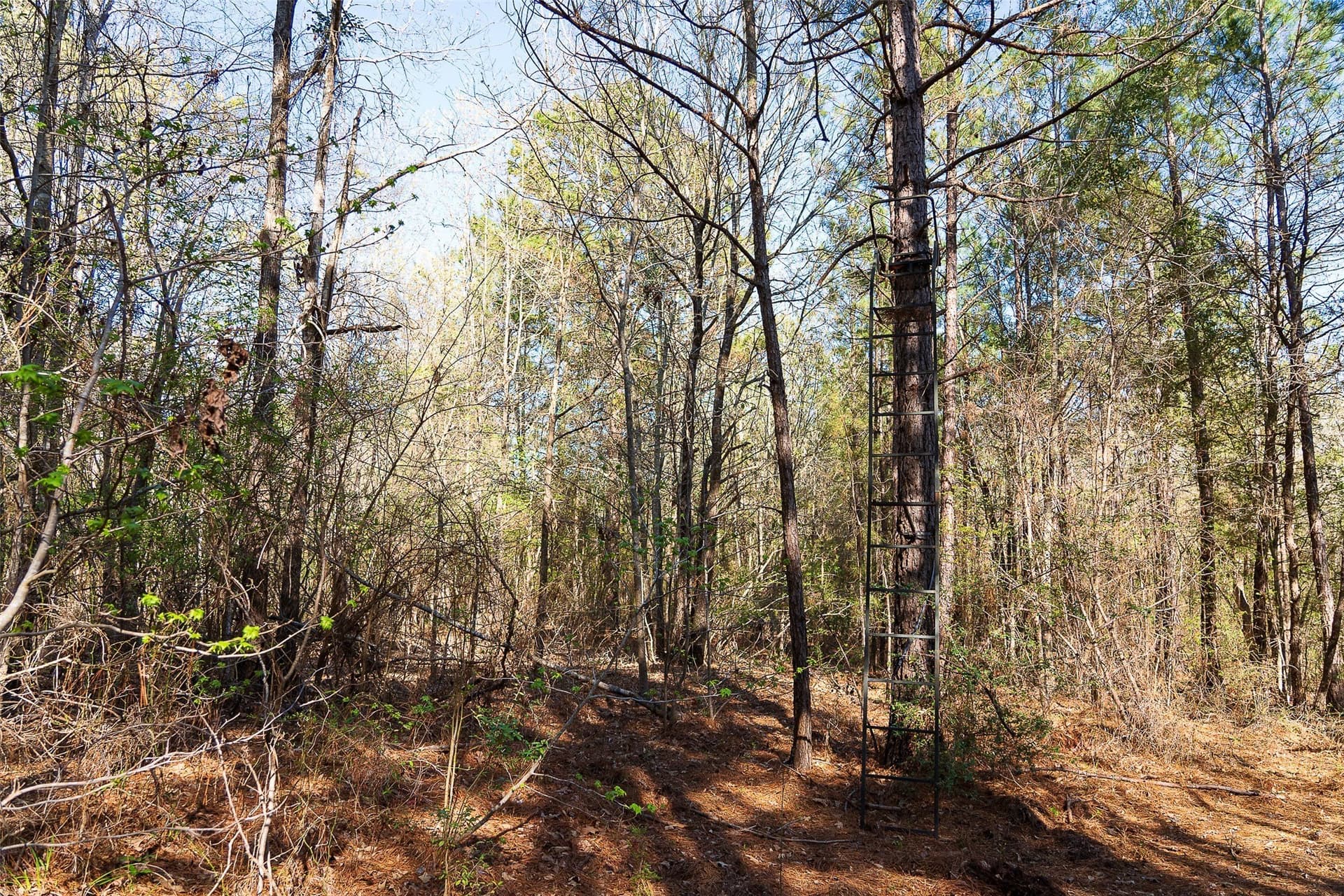 300.71 acres in Cherokee County - photo 19