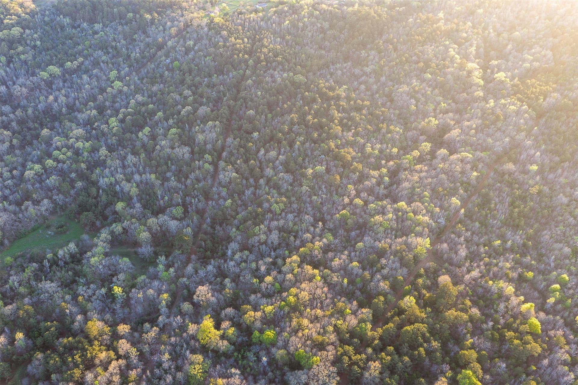 300.71 acres in Cherokee County - photo 33