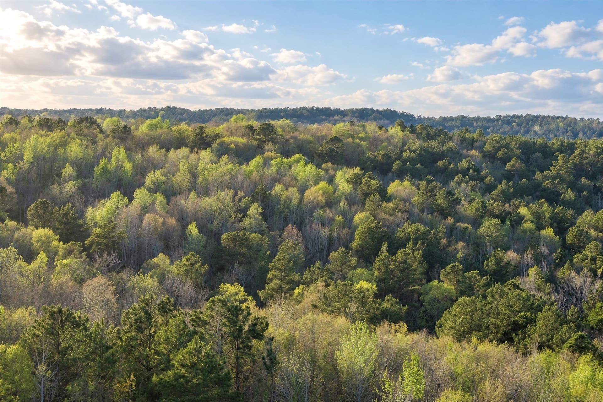 300.71 acres in Cherokee County
