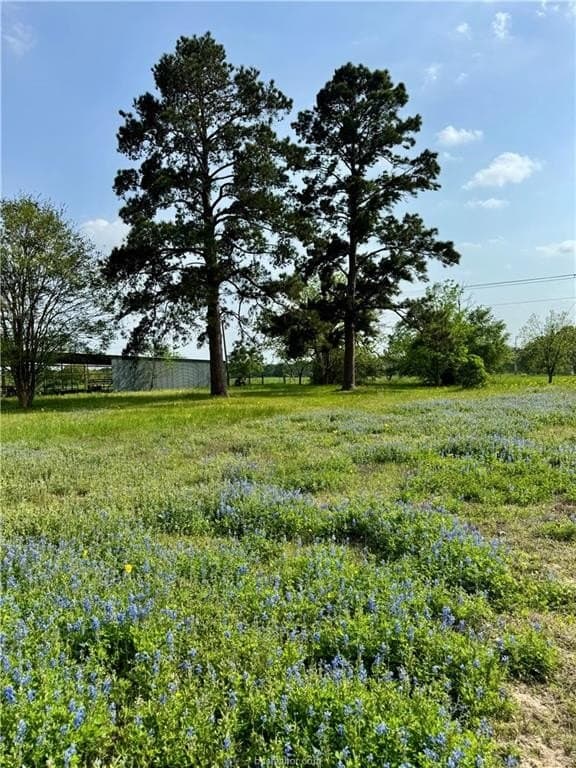 18.76 acres in Brazos County featured view
