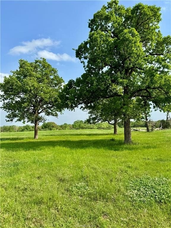18.76 acres in Brazos County