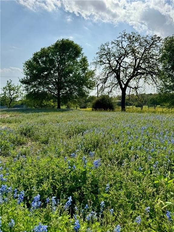 18.76 acres in Brazos County gallery image 4