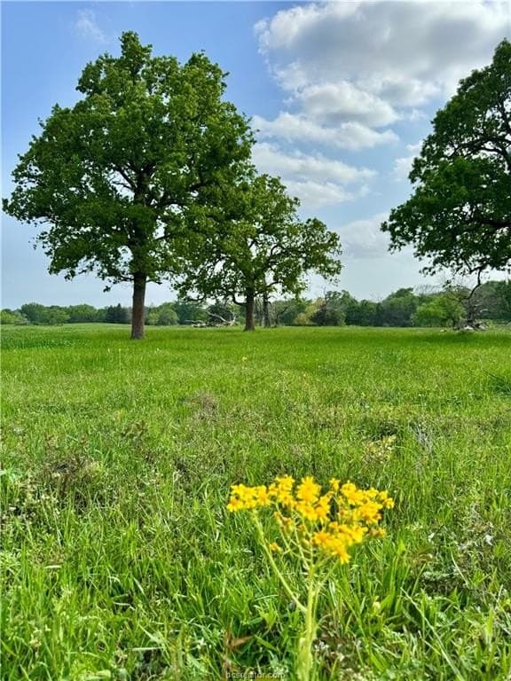 18.76 acres in Brazos County gallery image 2