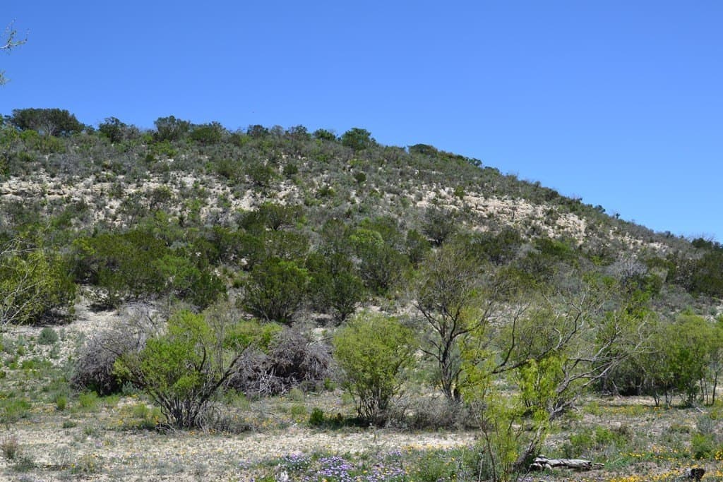 62.36 acres in Kimble County gallery image 4