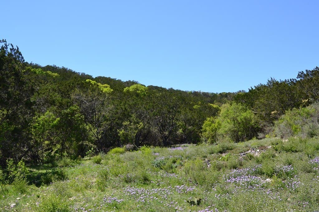 62.36 acres in Kimble County featured view