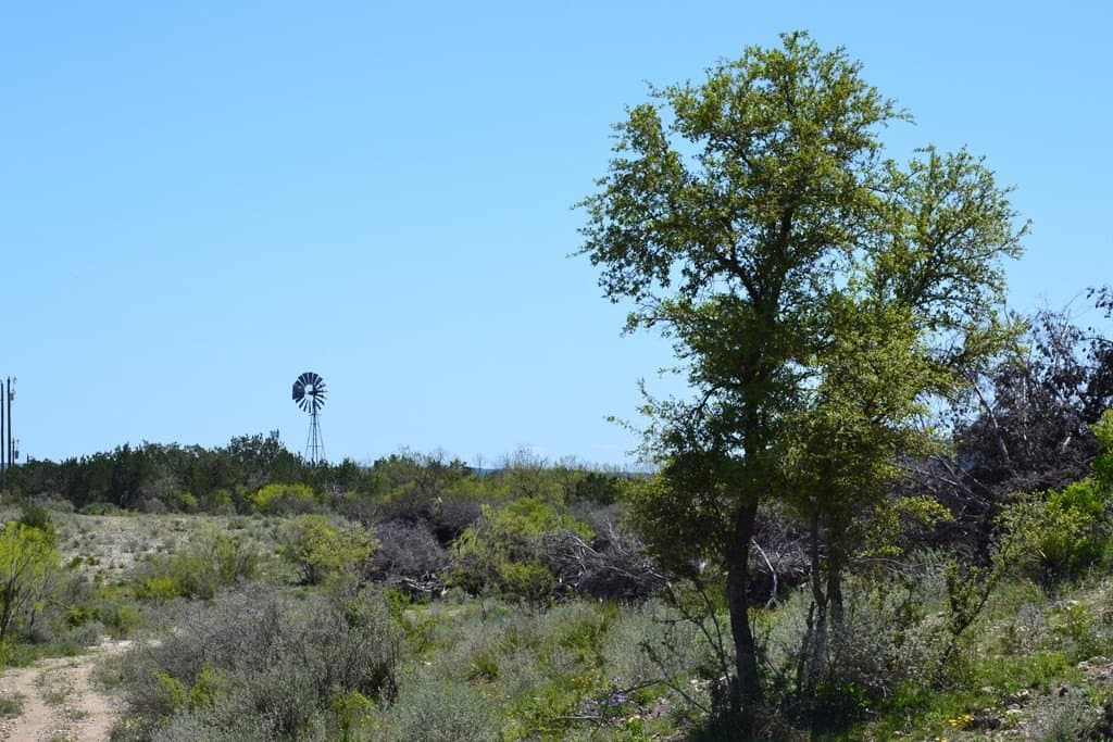 62.36 acres in Kimble County gallery image 2