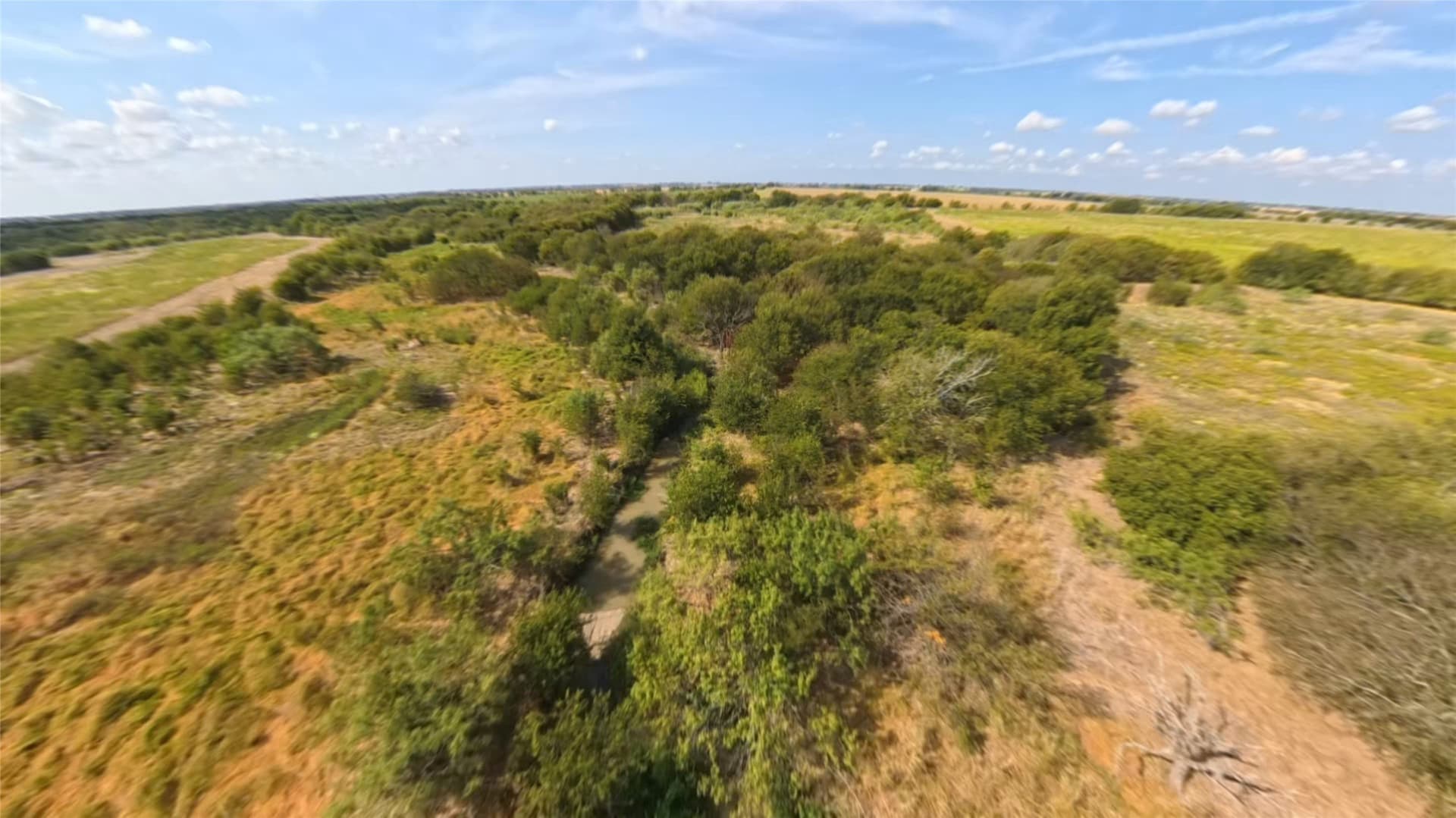 438 acres in Hill County - photo 12