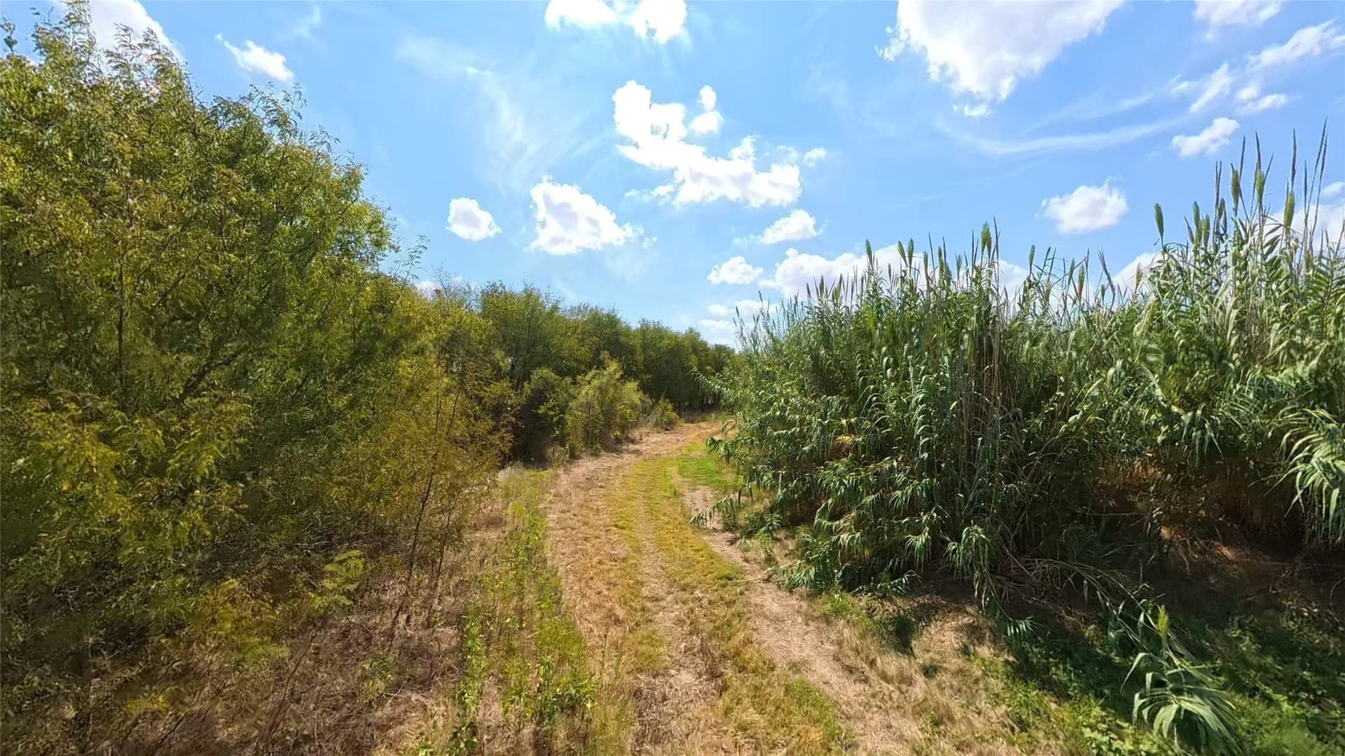 438 acres in Hill County - photo 15