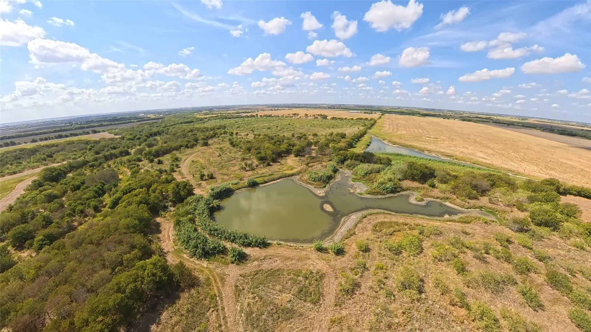438 acres in Hill County - photo 13