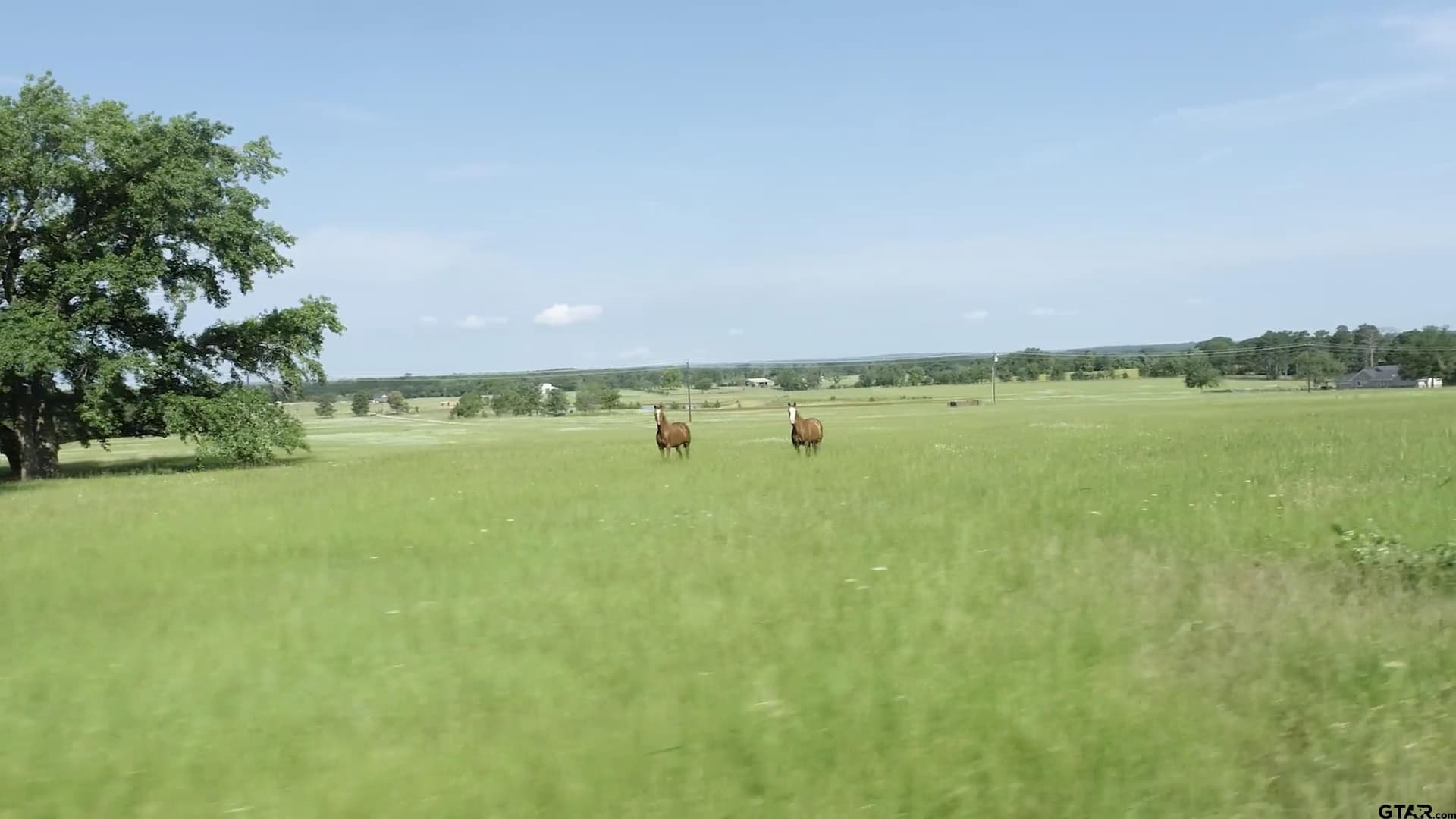 2.38 acres in Anderson County - photo 5