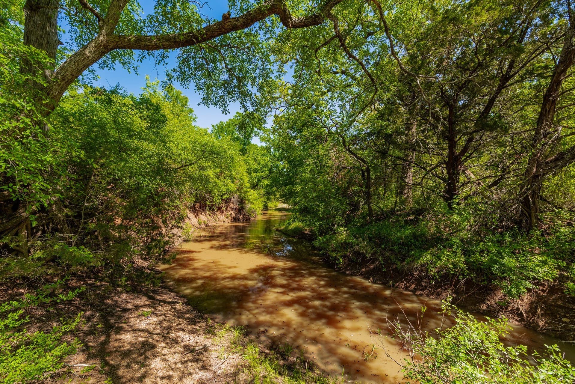 1,055 acres in Coleman County - photo 10