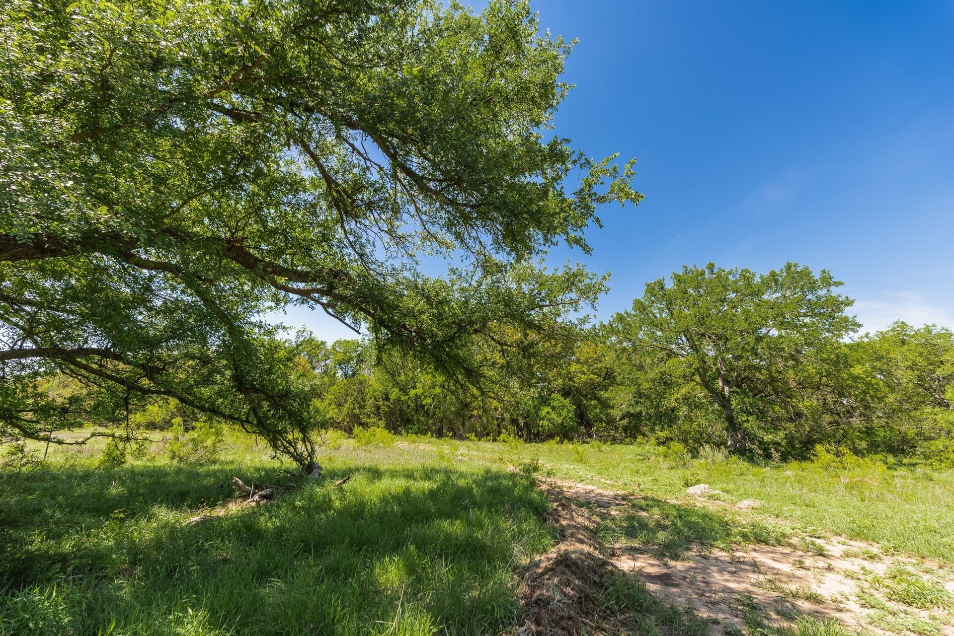 1,055 acres in Coleman County - photo 18
