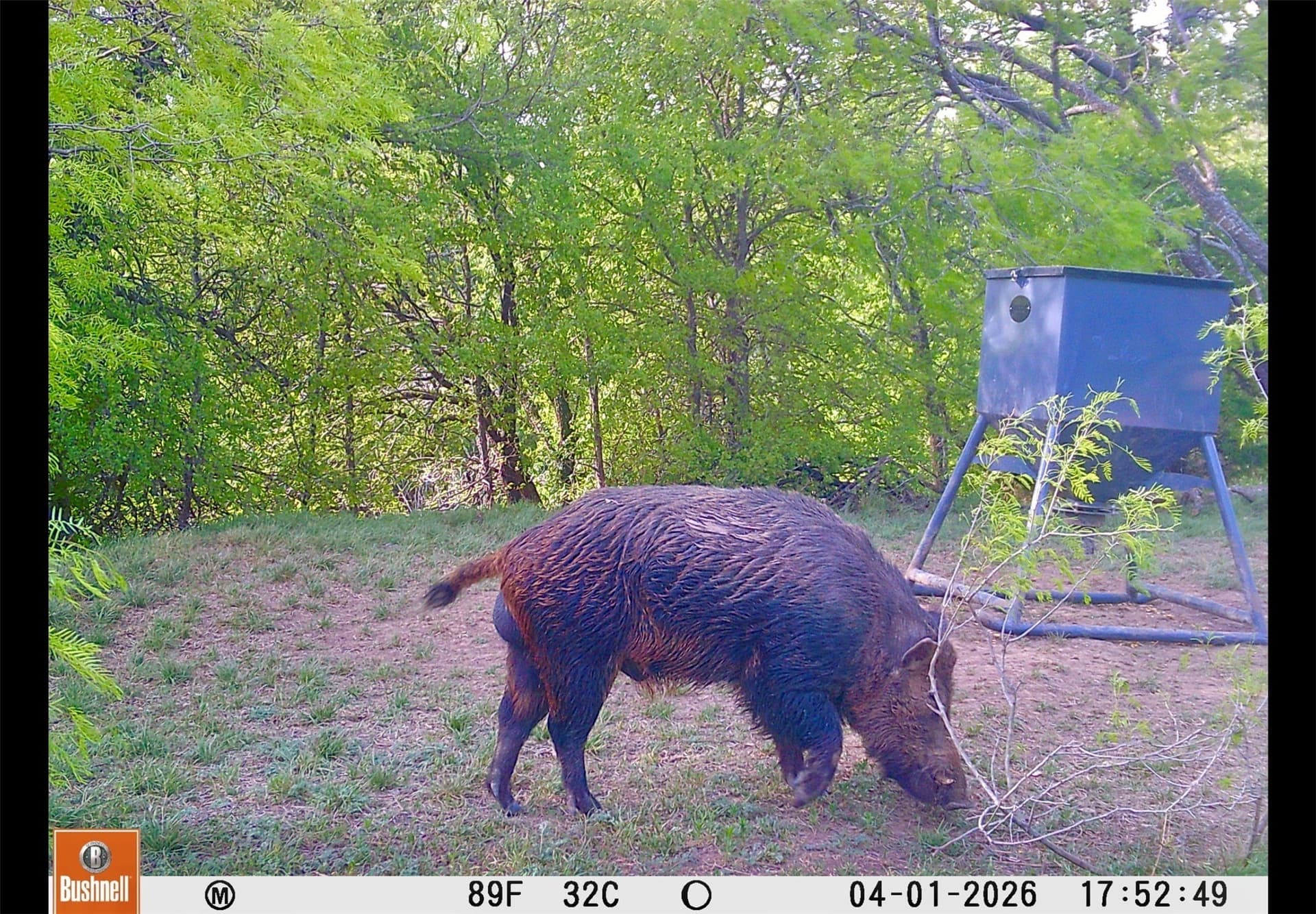 1,055 acres in Coleman County - photo 27