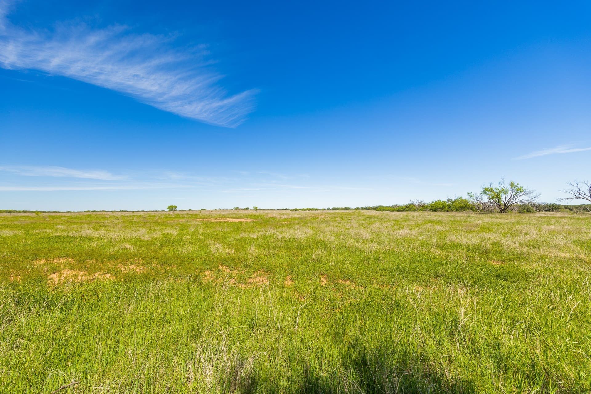 1,055 acres in Coleman County - photo 23